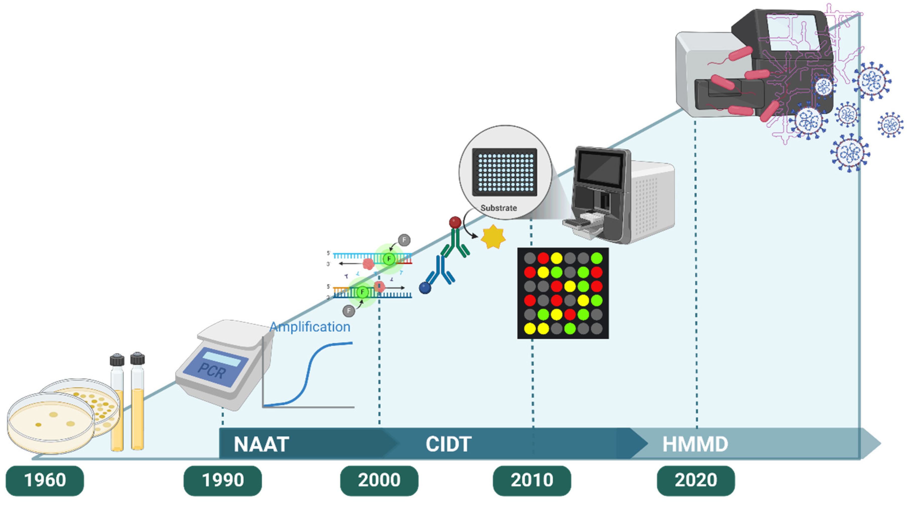 Diagnostics 15 00077 g001