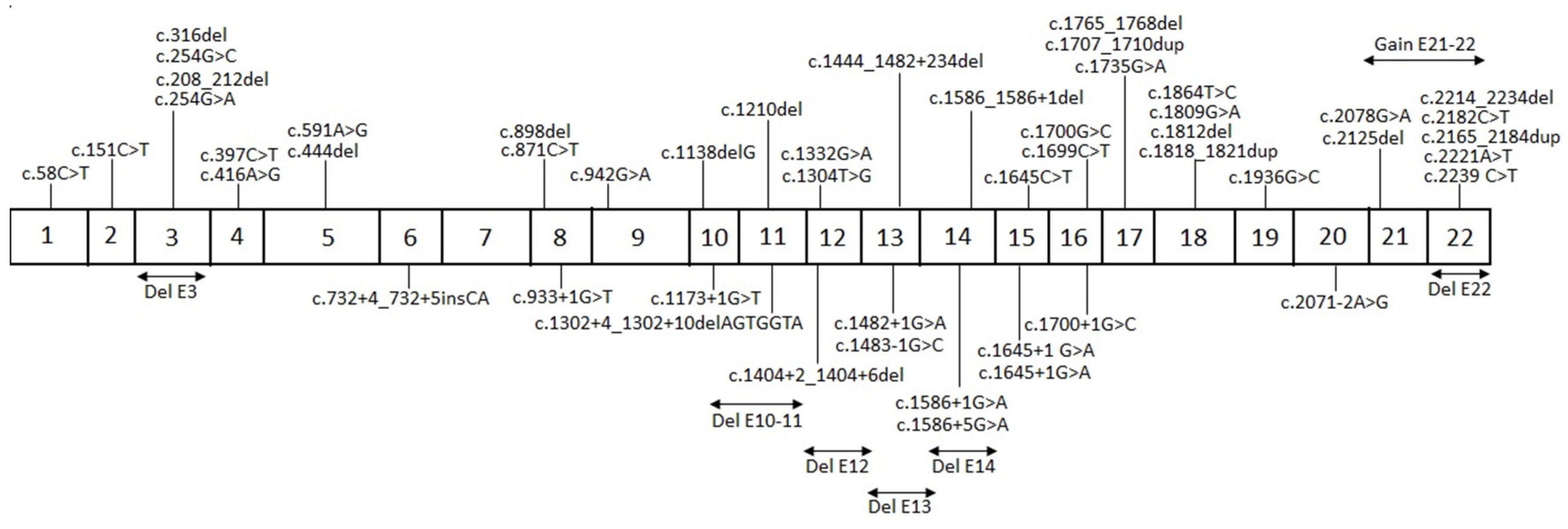 Diagnostics 15 00091 g001