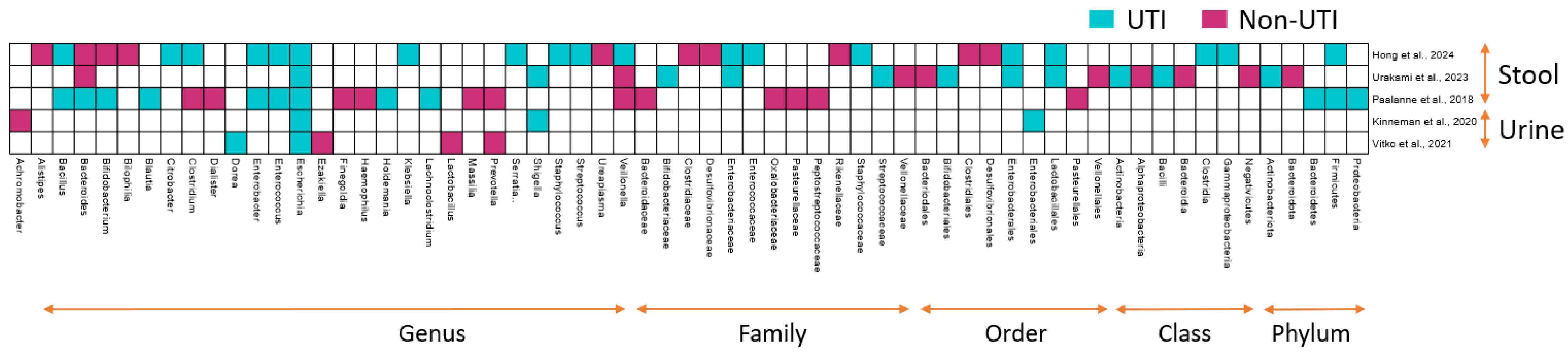 Diagnostics 15 00093 g002