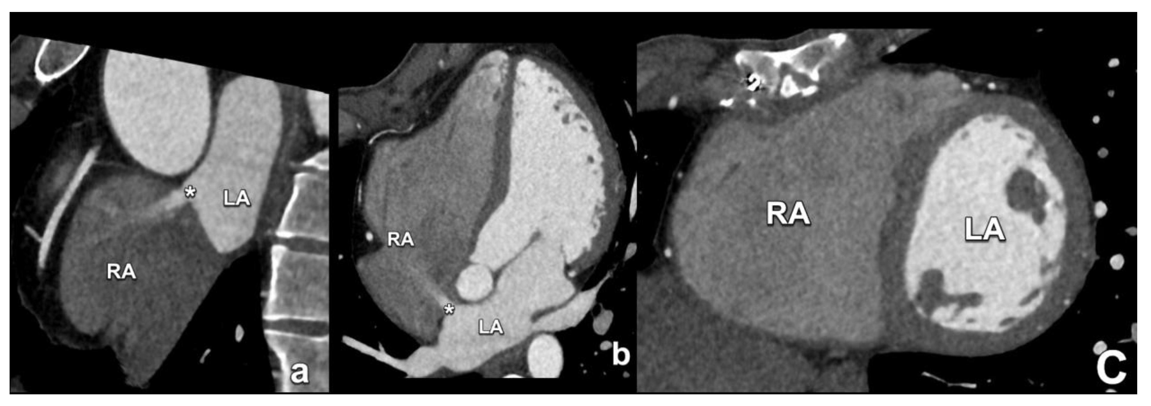 Diagnostics 15 00097 g002