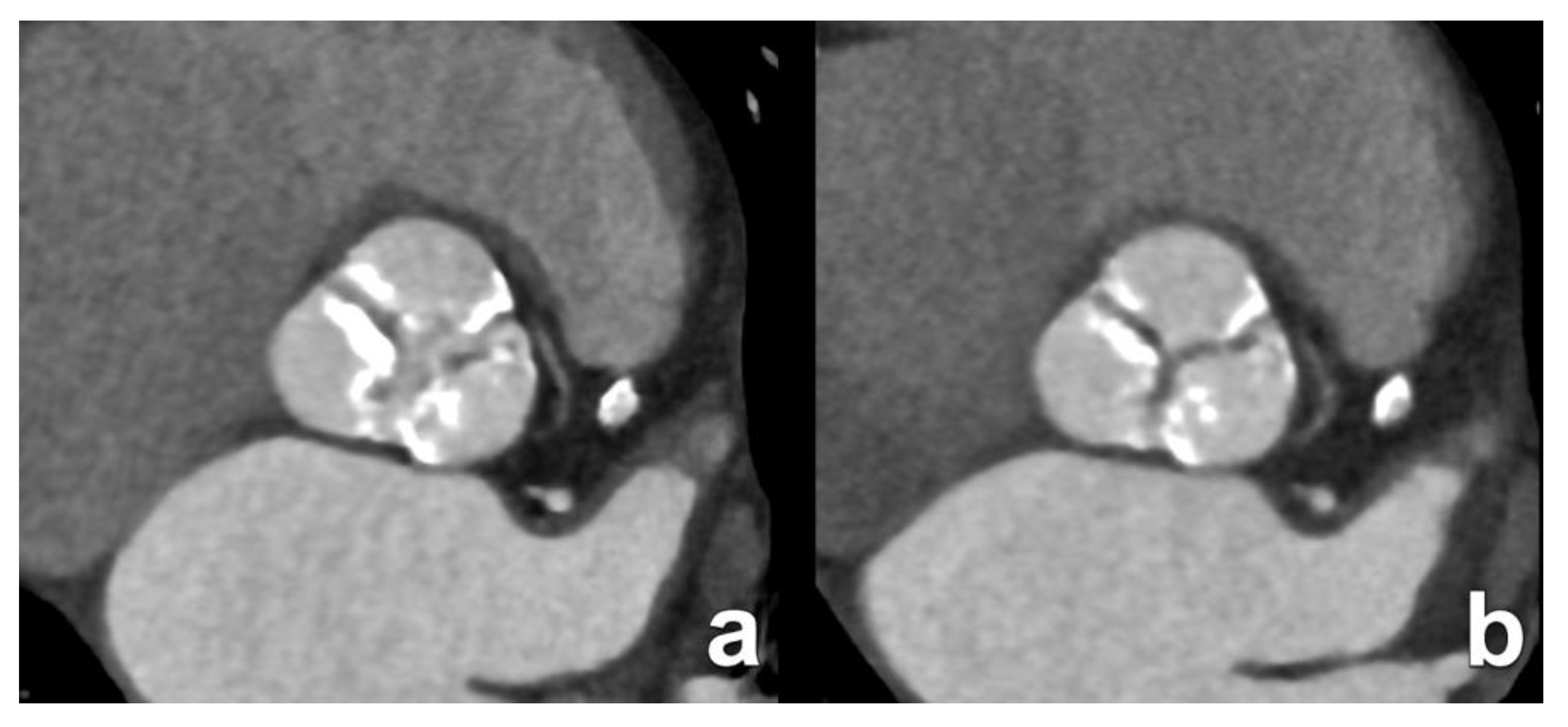 Diagnostics 15 00097 g003