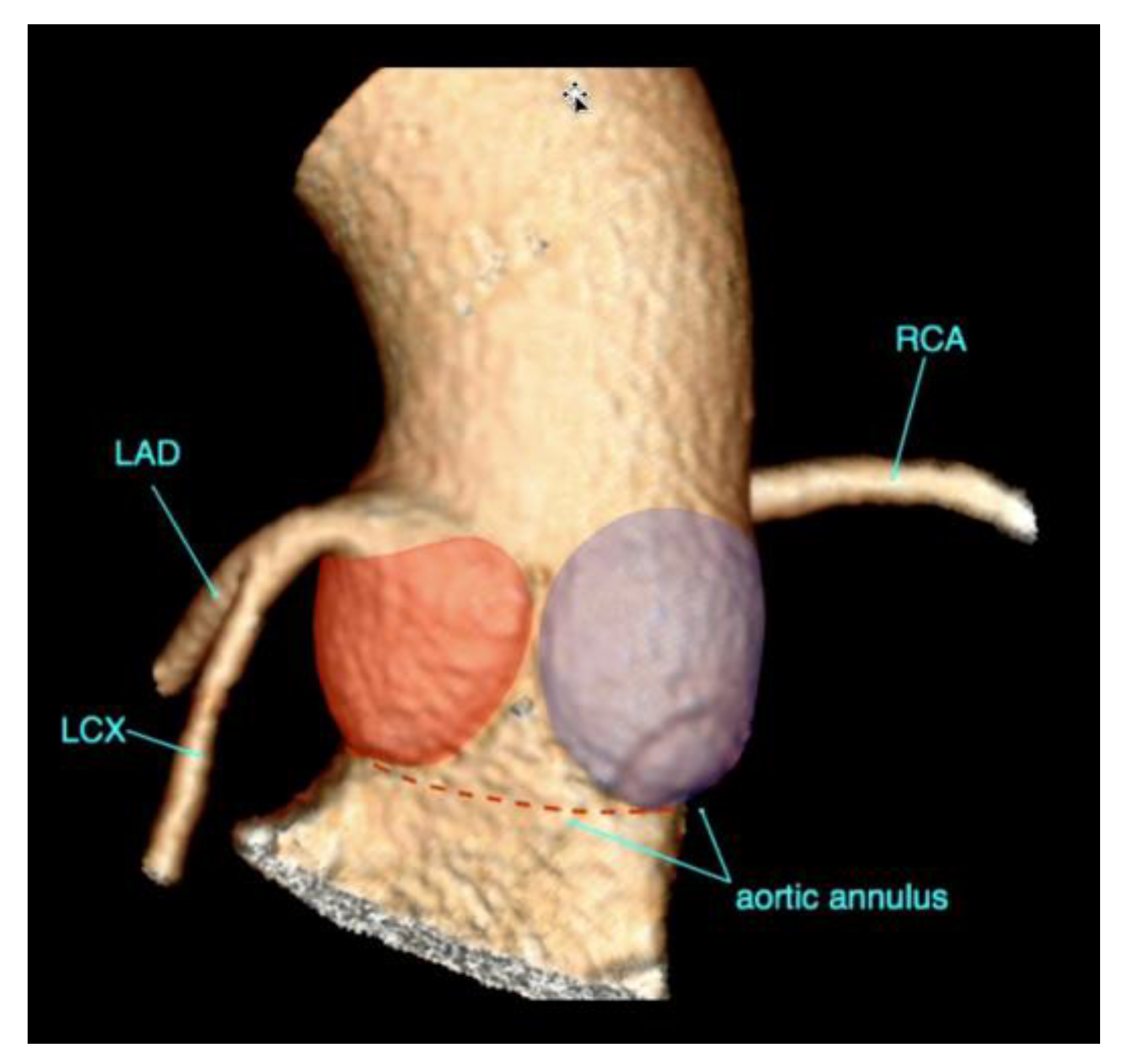 Diagnostics 15 00097 g004