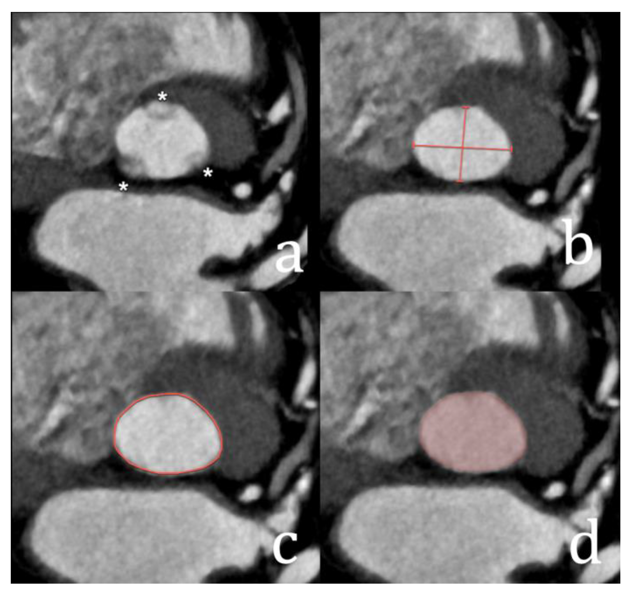 Diagnostics 15 00097 g005