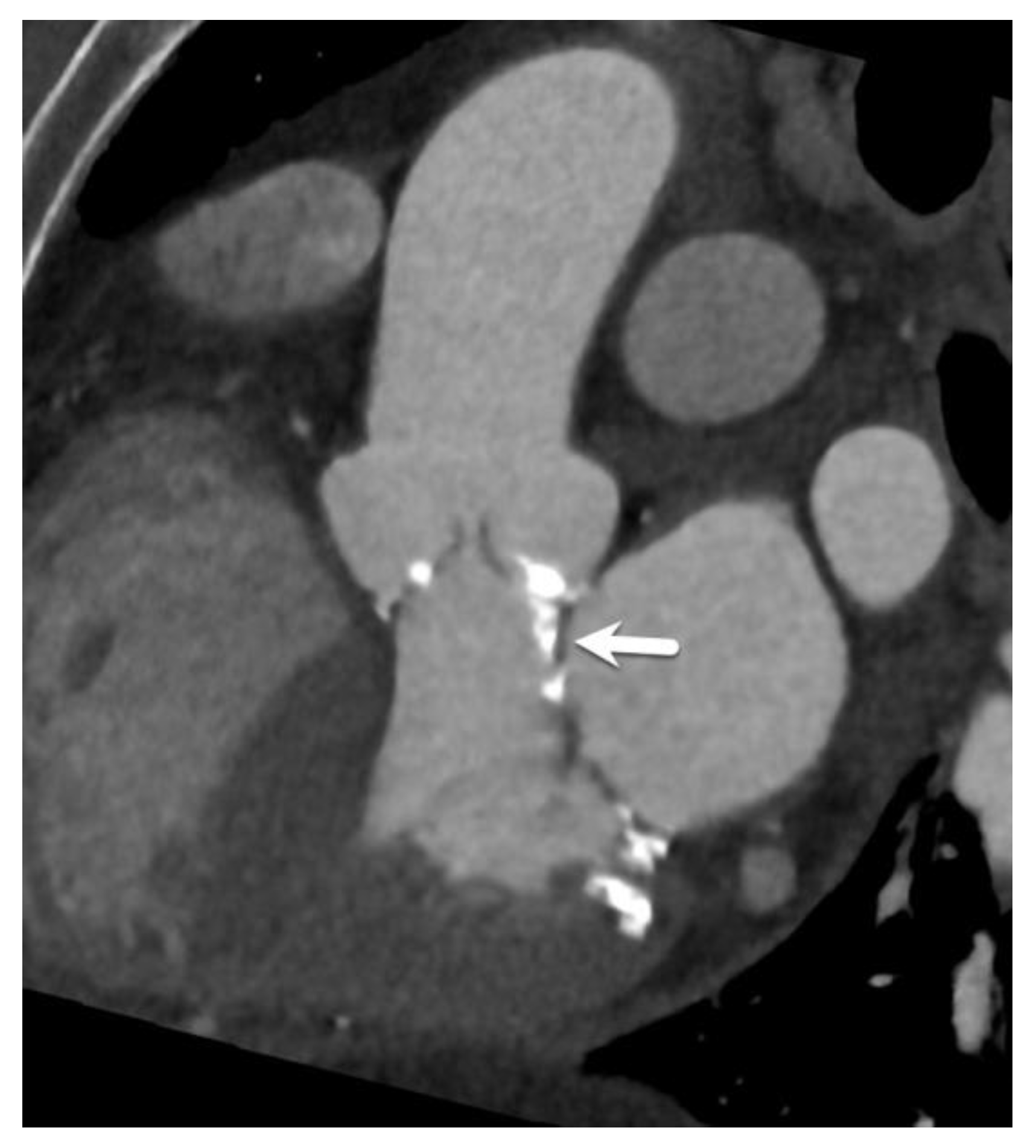 Diagnostics 15 00097 g007