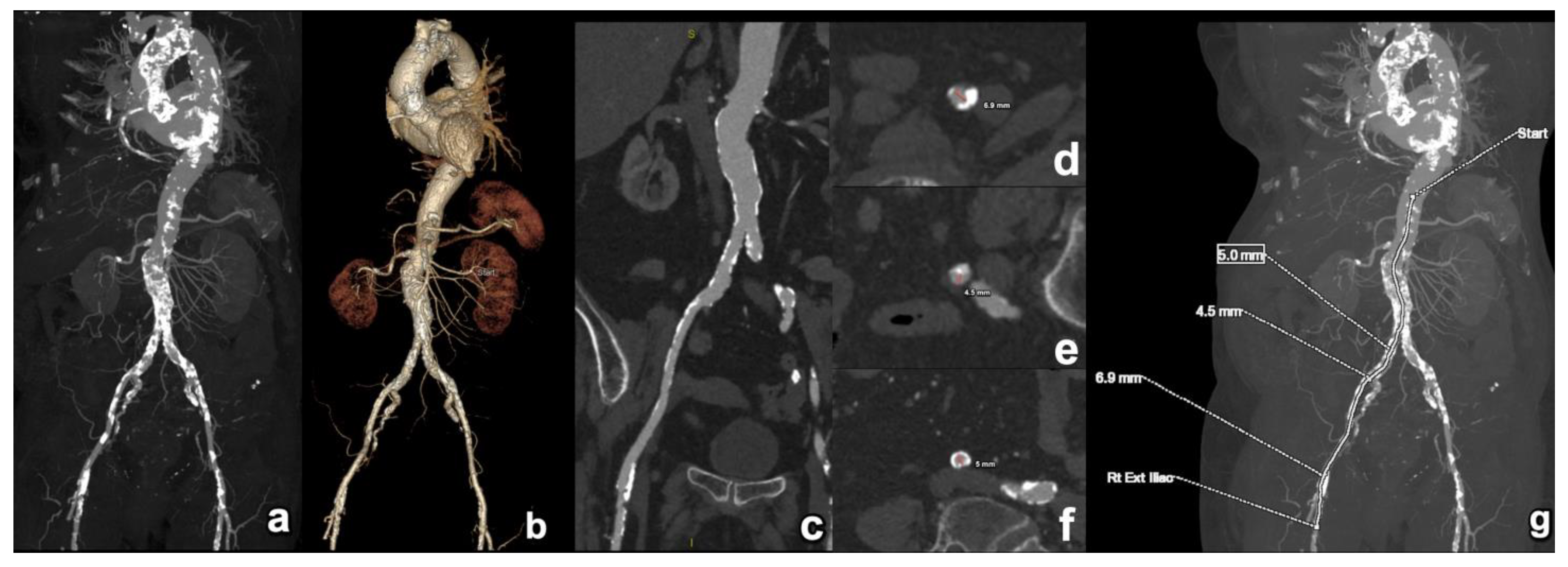 Diagnostics 15 00097 g008