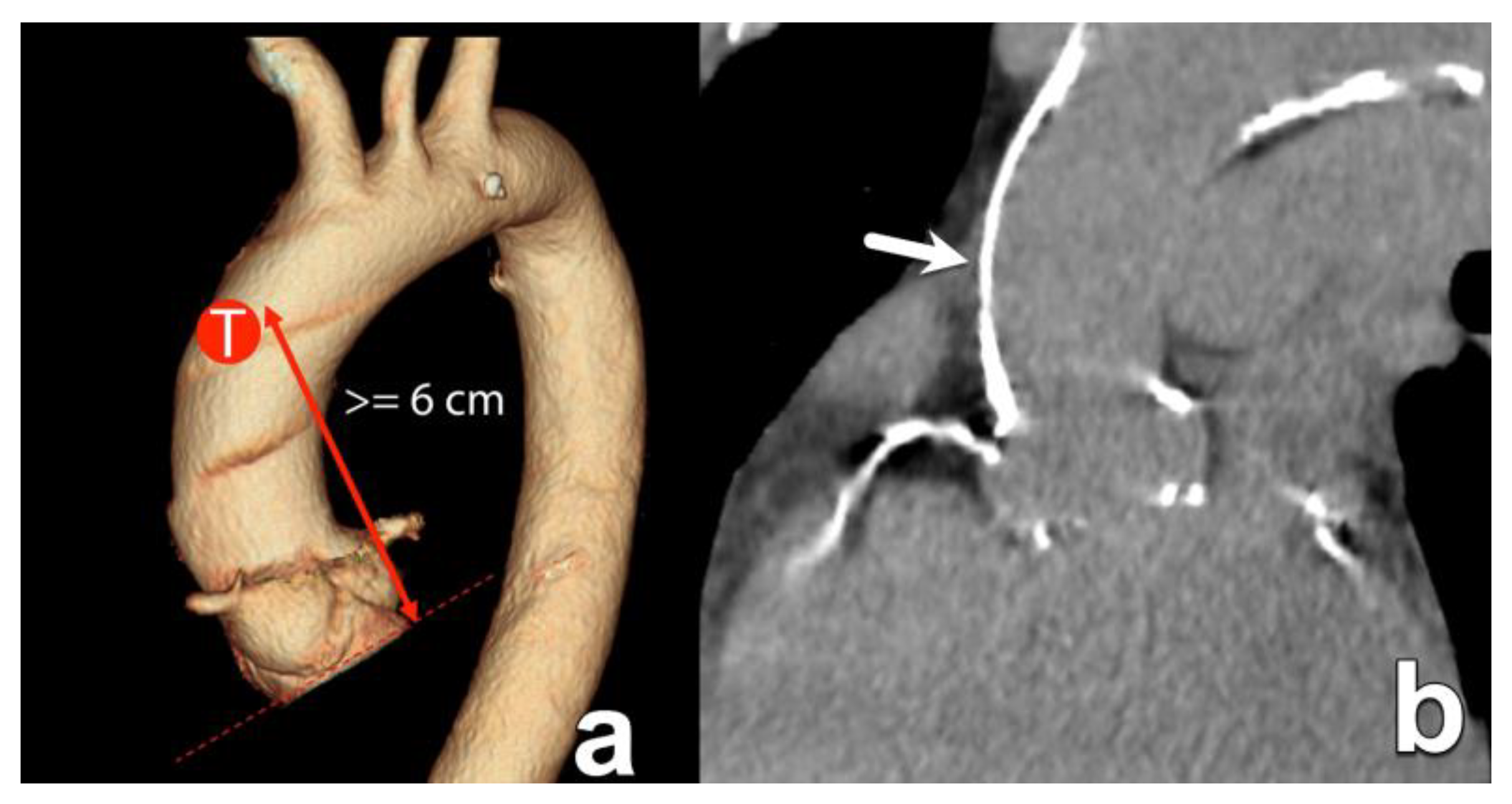 Diagnostics 15 00097 g009