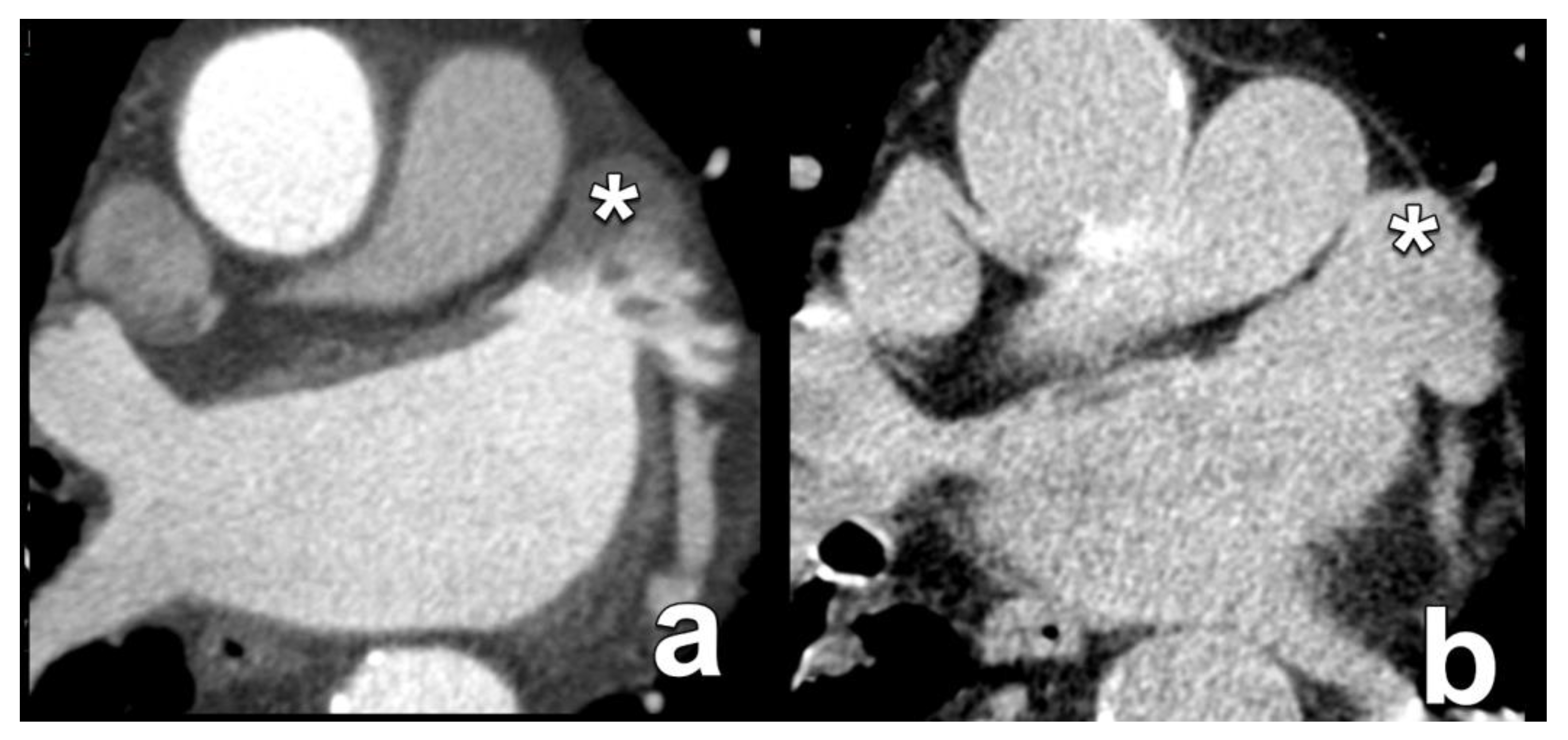Diagnostics 15 00097 g012