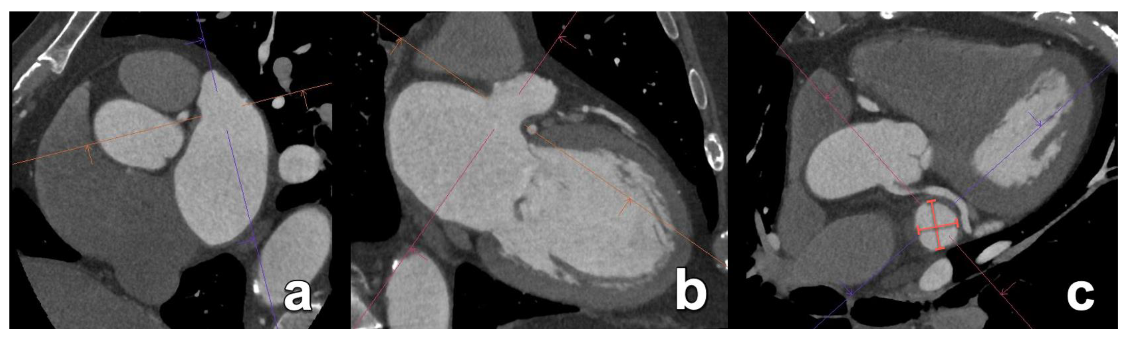 Diagnostics 15 00097 g013