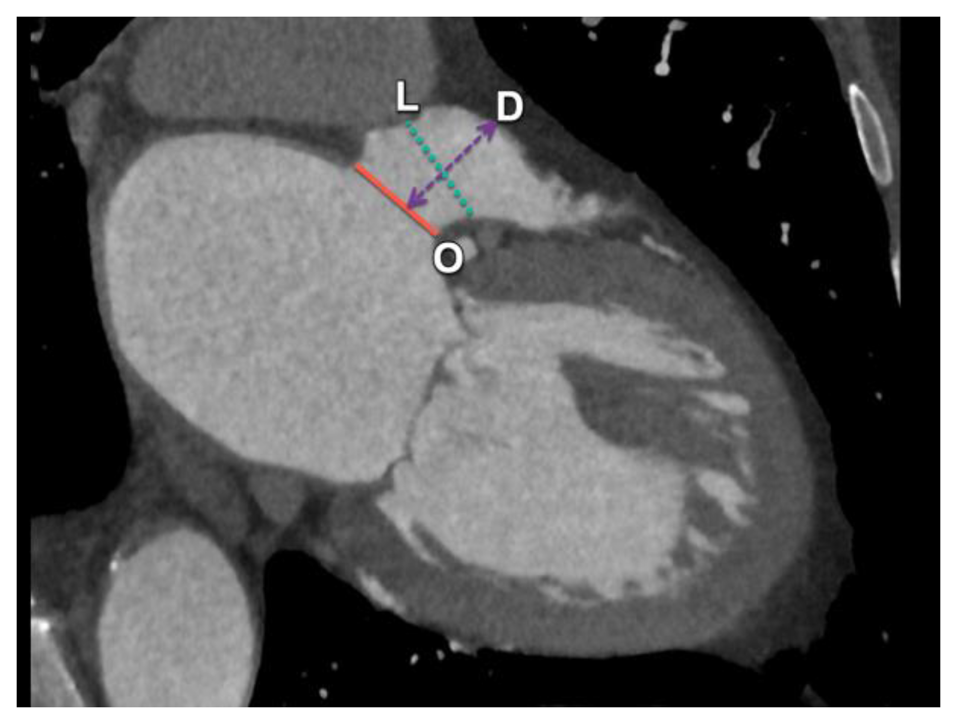 Diagnostics 15 00097 g014