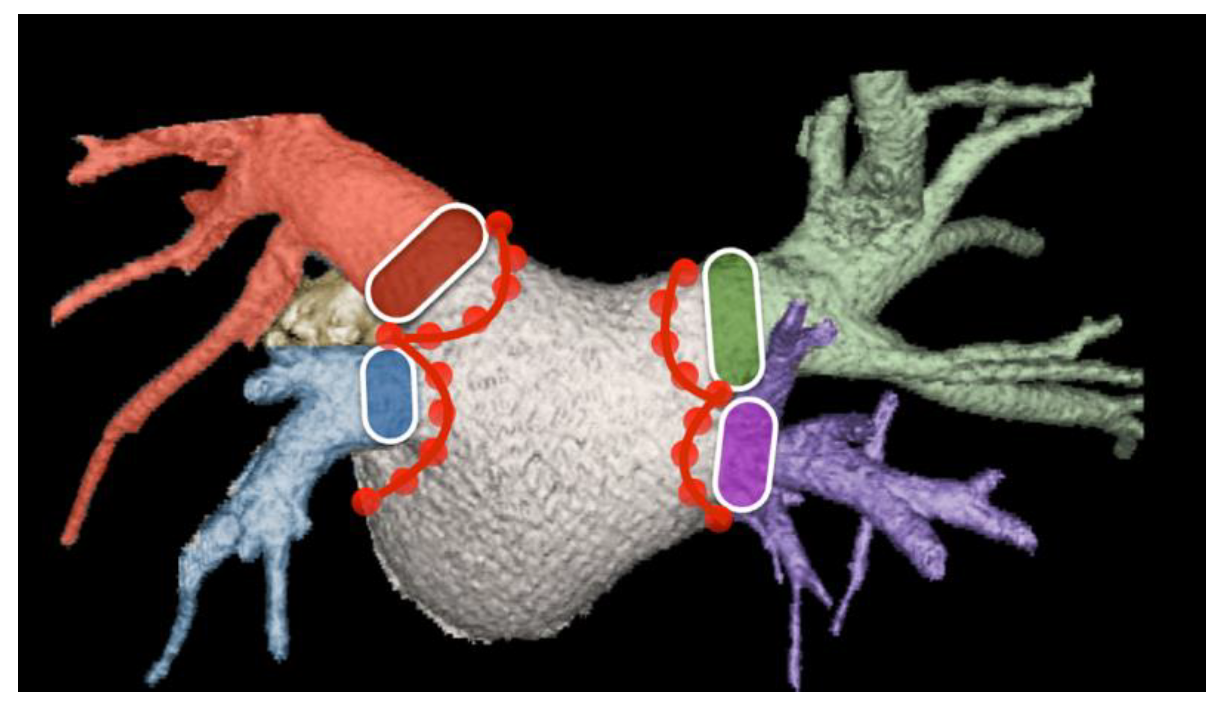 Diagnostics 15 00097 g015