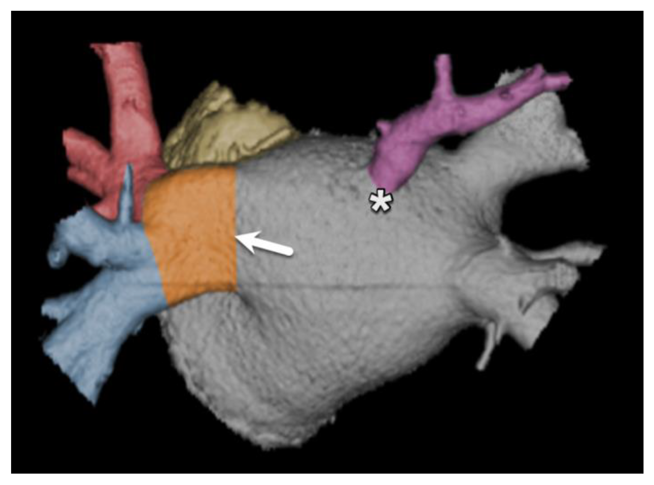 Diagnostics 15 00097 g016