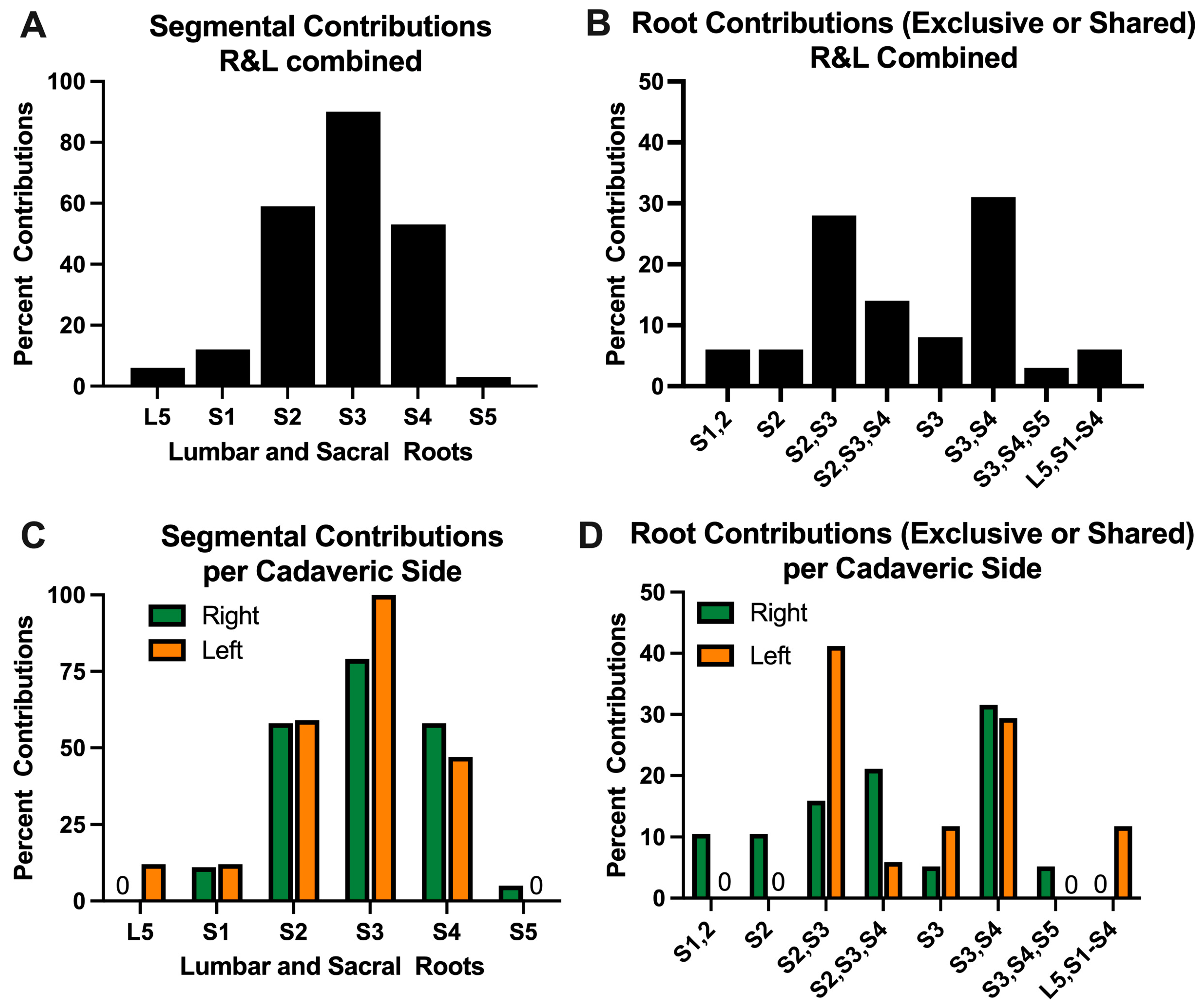 Diagnostics 15 00102 g001