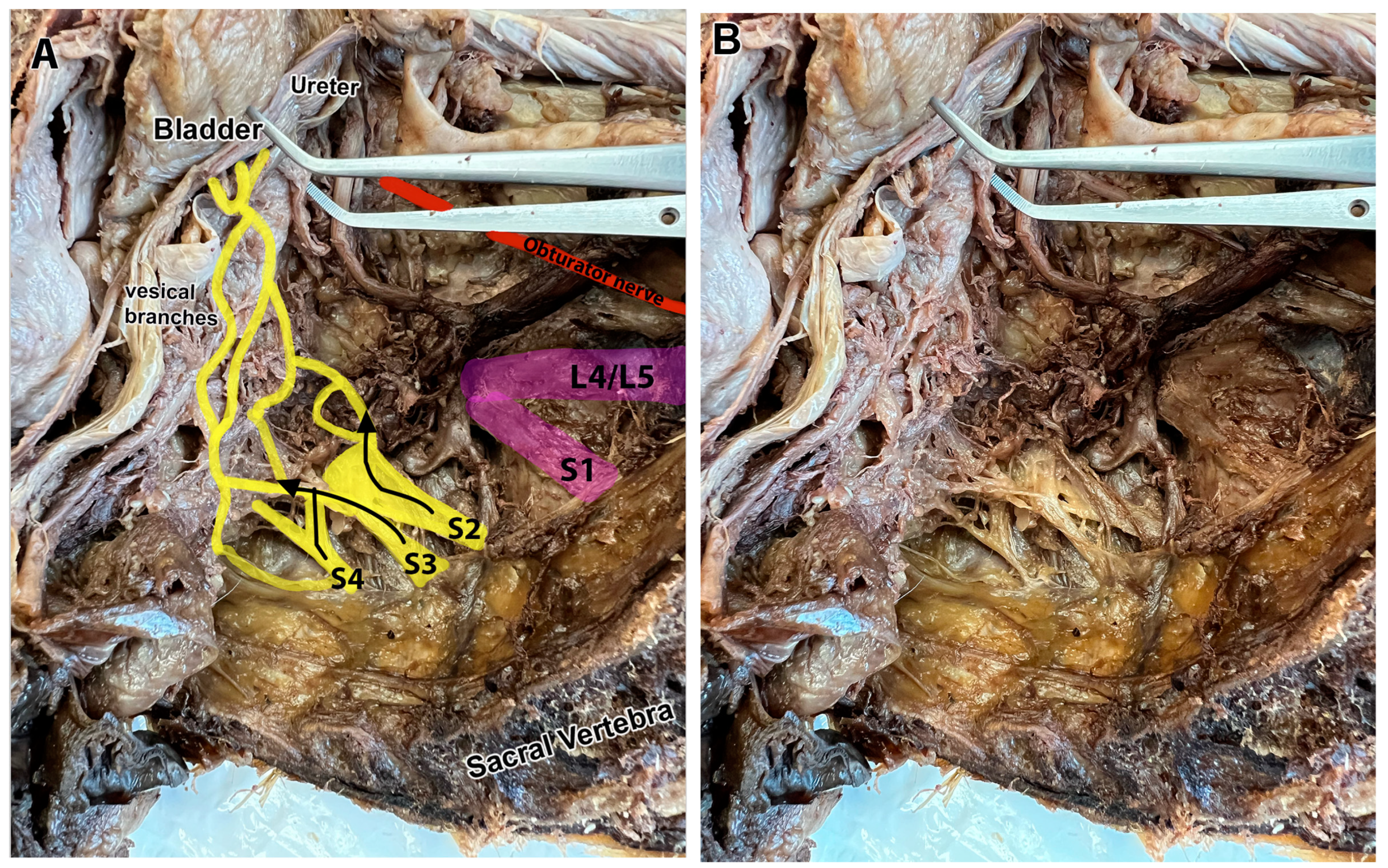 Diagnostics 15 00102 g005