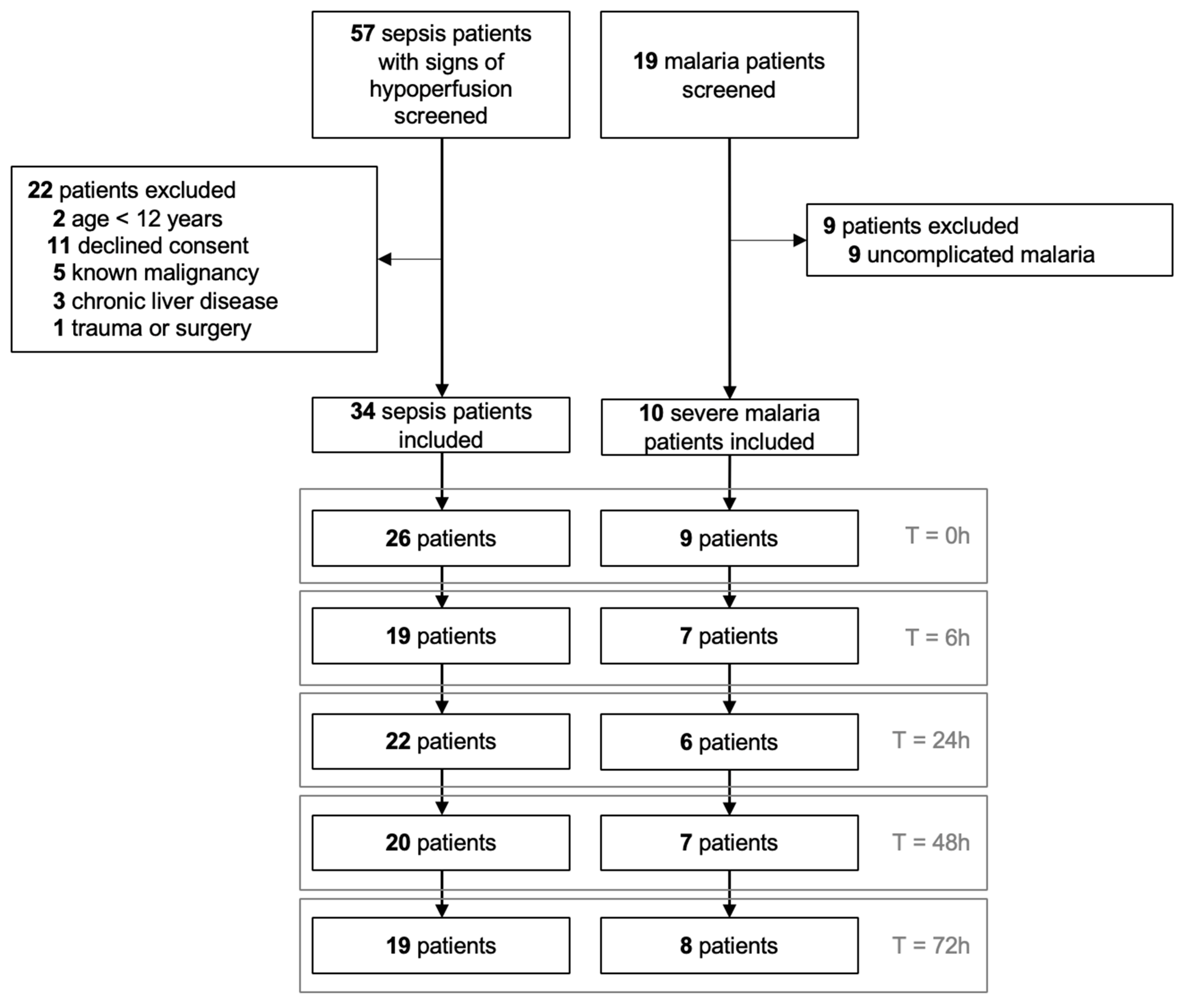 Diagnostics 15 00103 g001