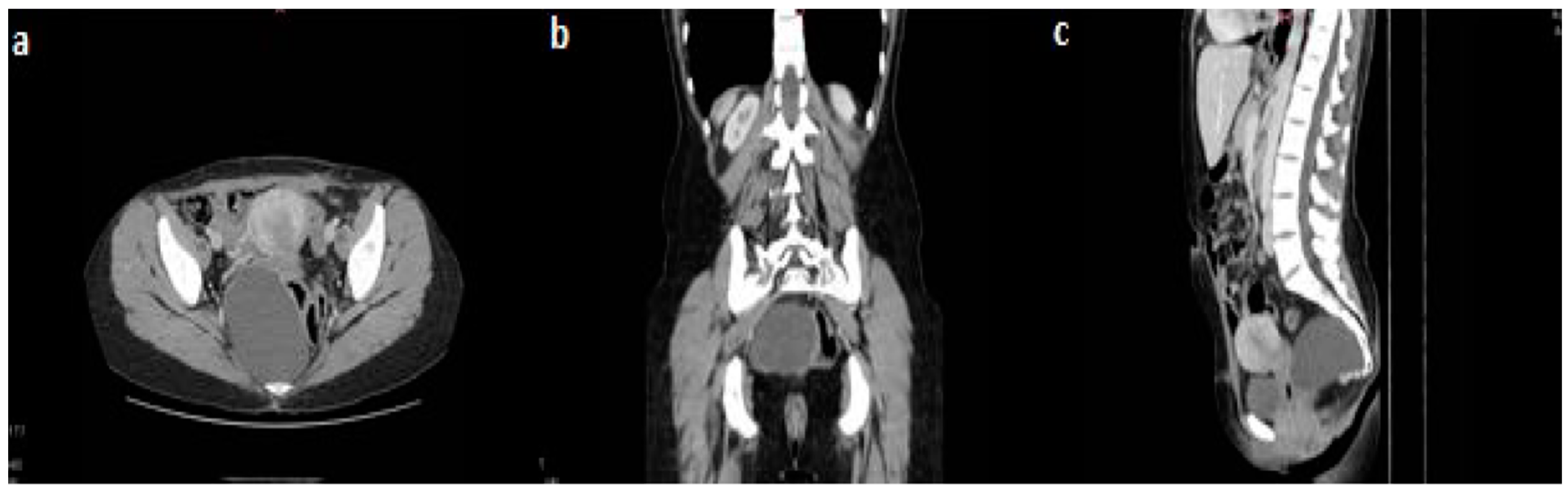Diagnostics 15 00108 g001 Diagnostics 15 00108 g001