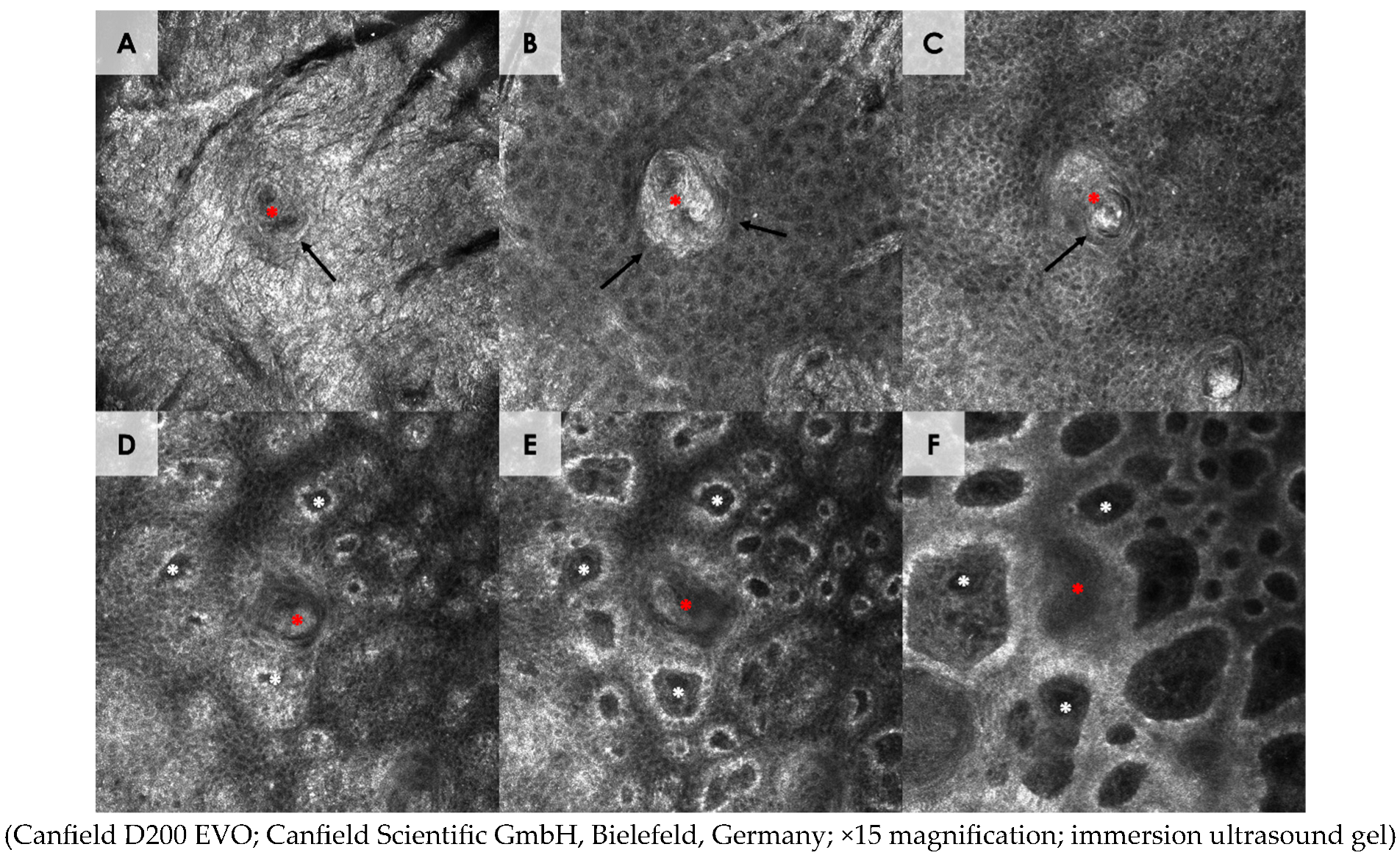 Diagnostics 15 00110 g003