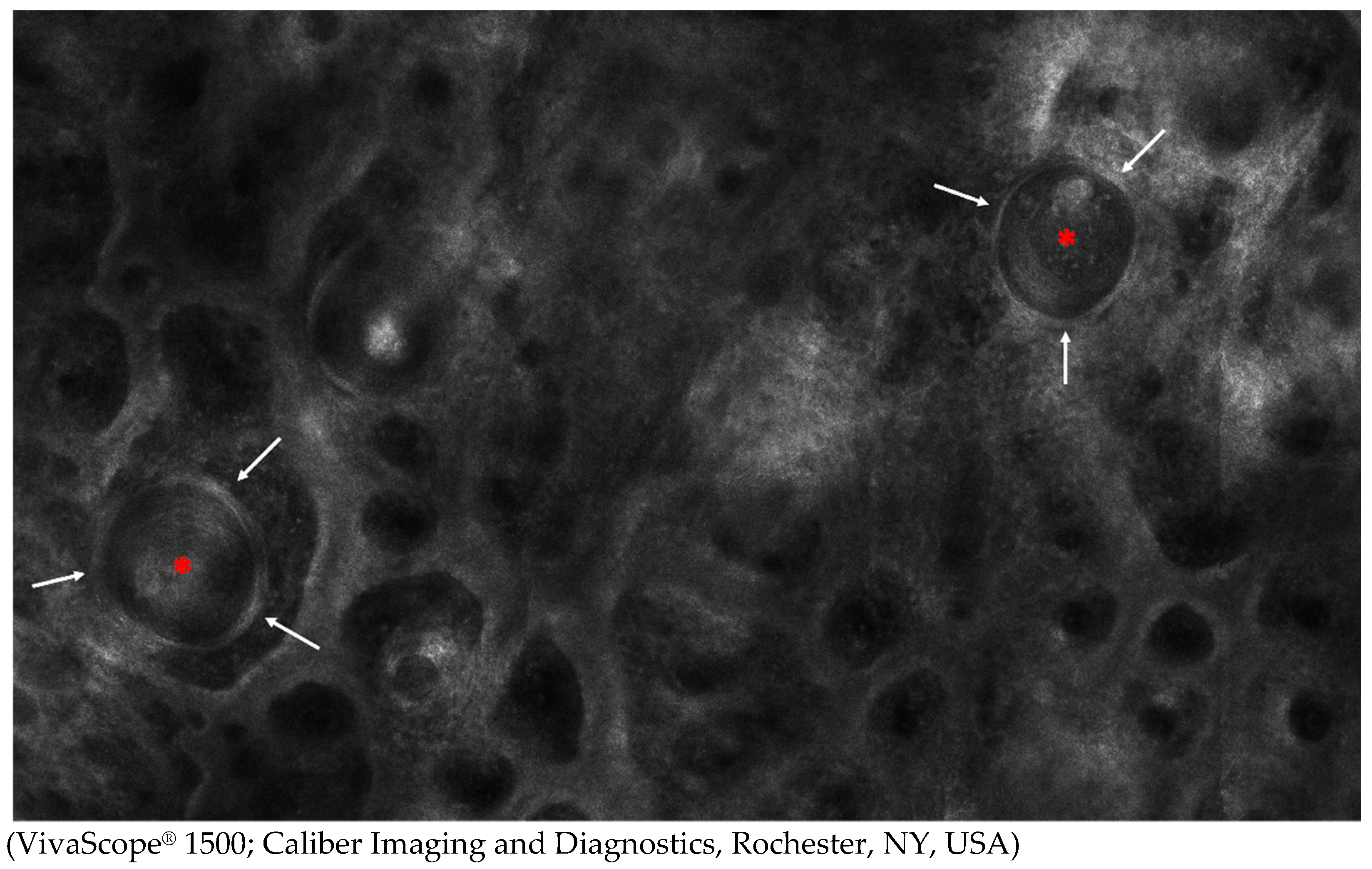 Diagnostics 15 00110 g004