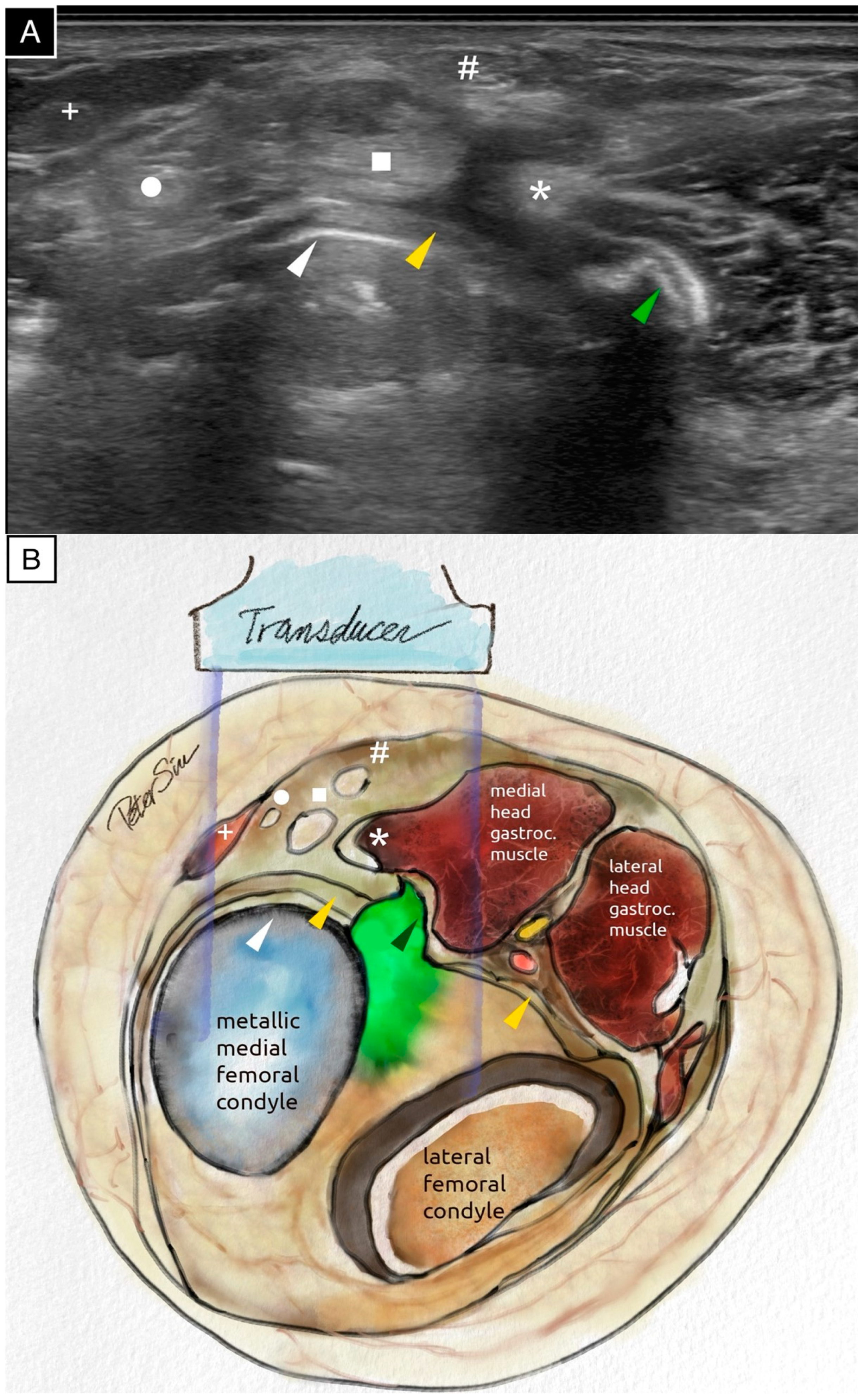Diagnostics 15 00112 g002