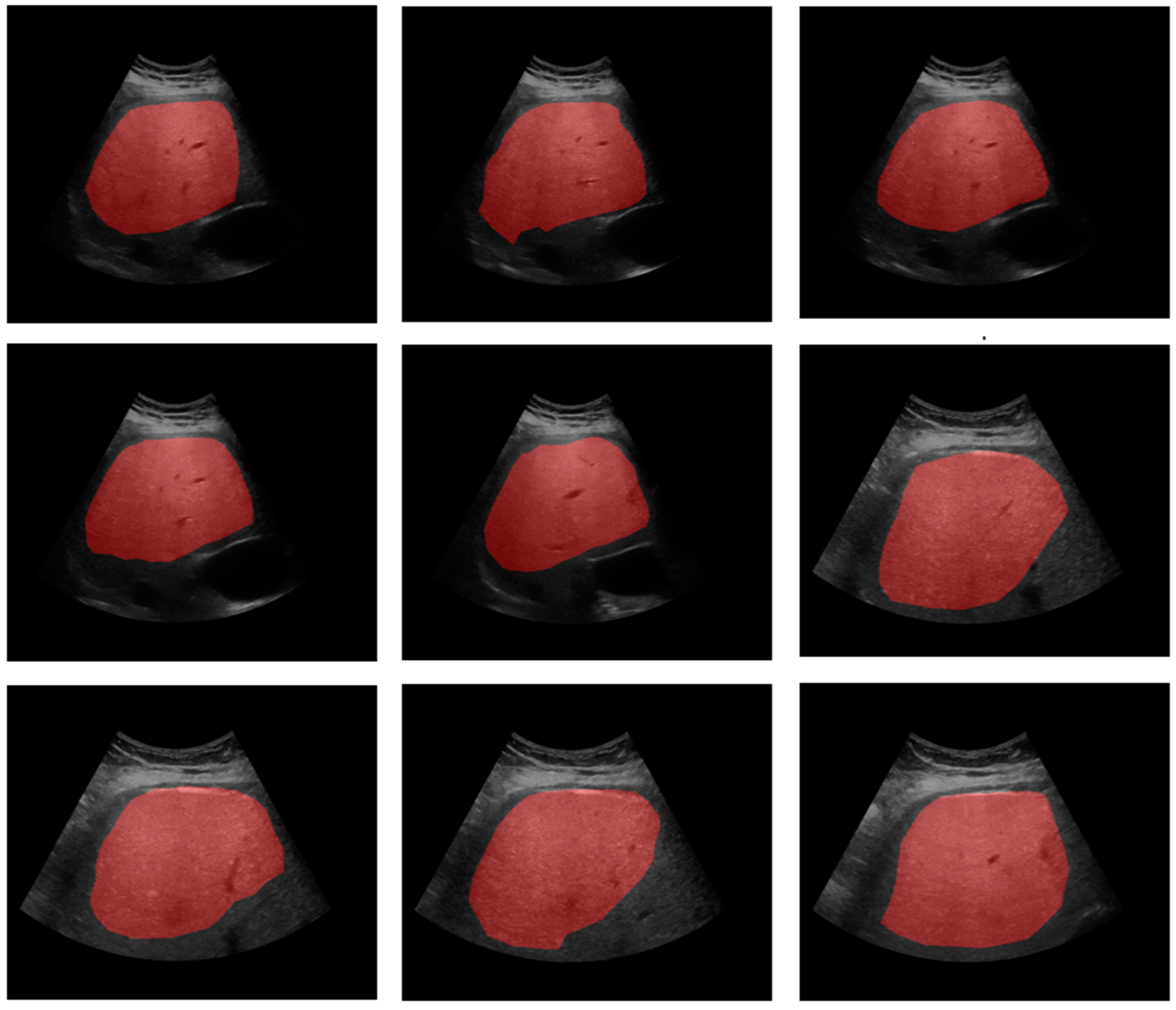 Diagnostics 15 00117 g002