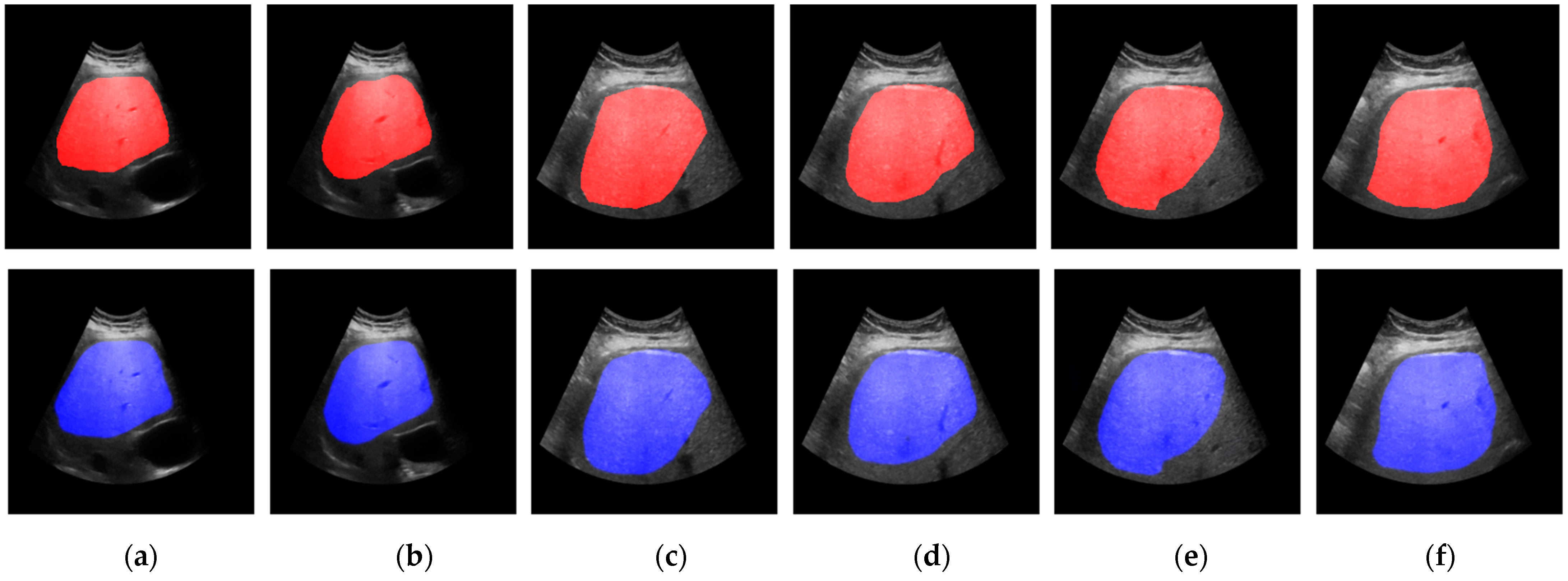 Diagnostics 15 00117 g003