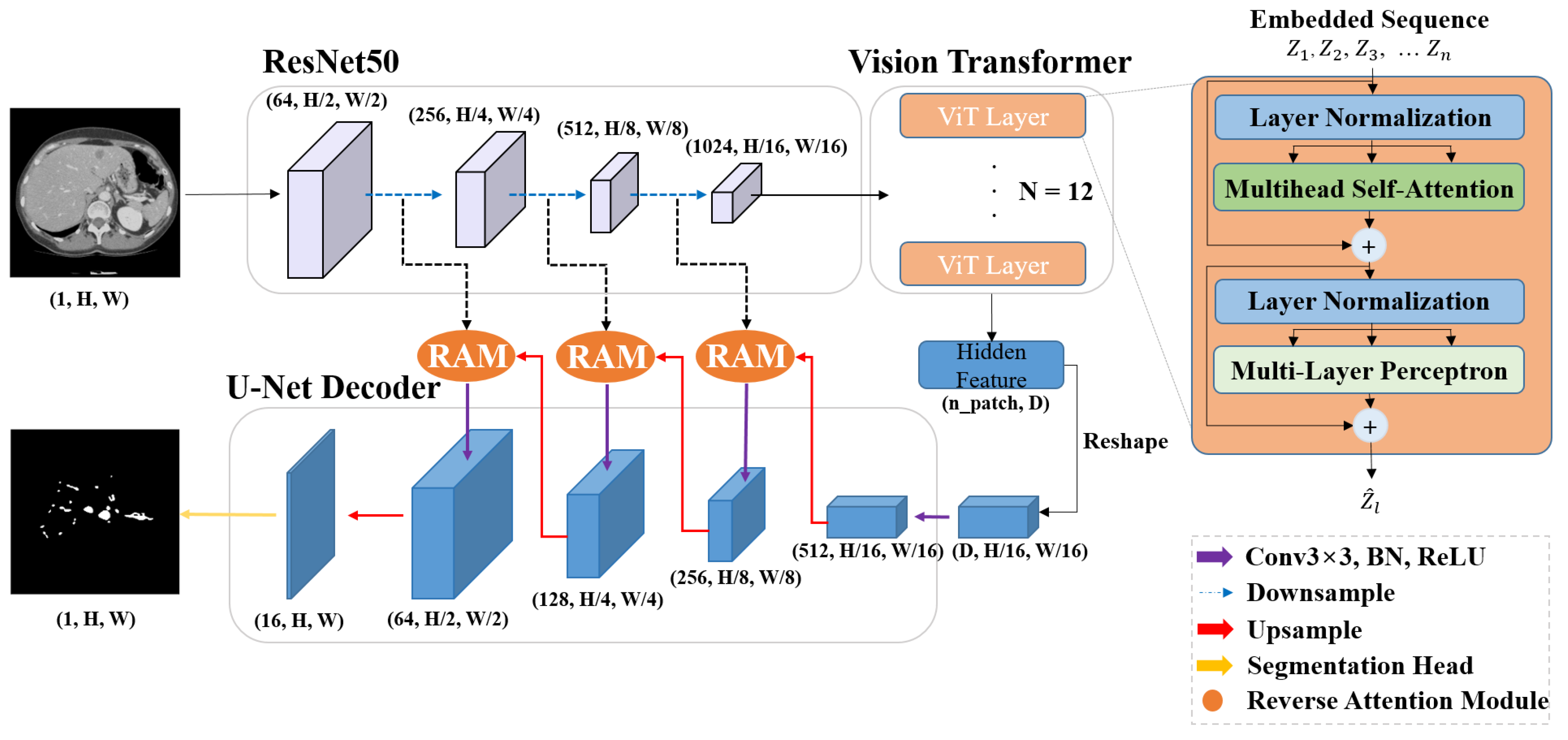 Diagnostics 15 00118 g003