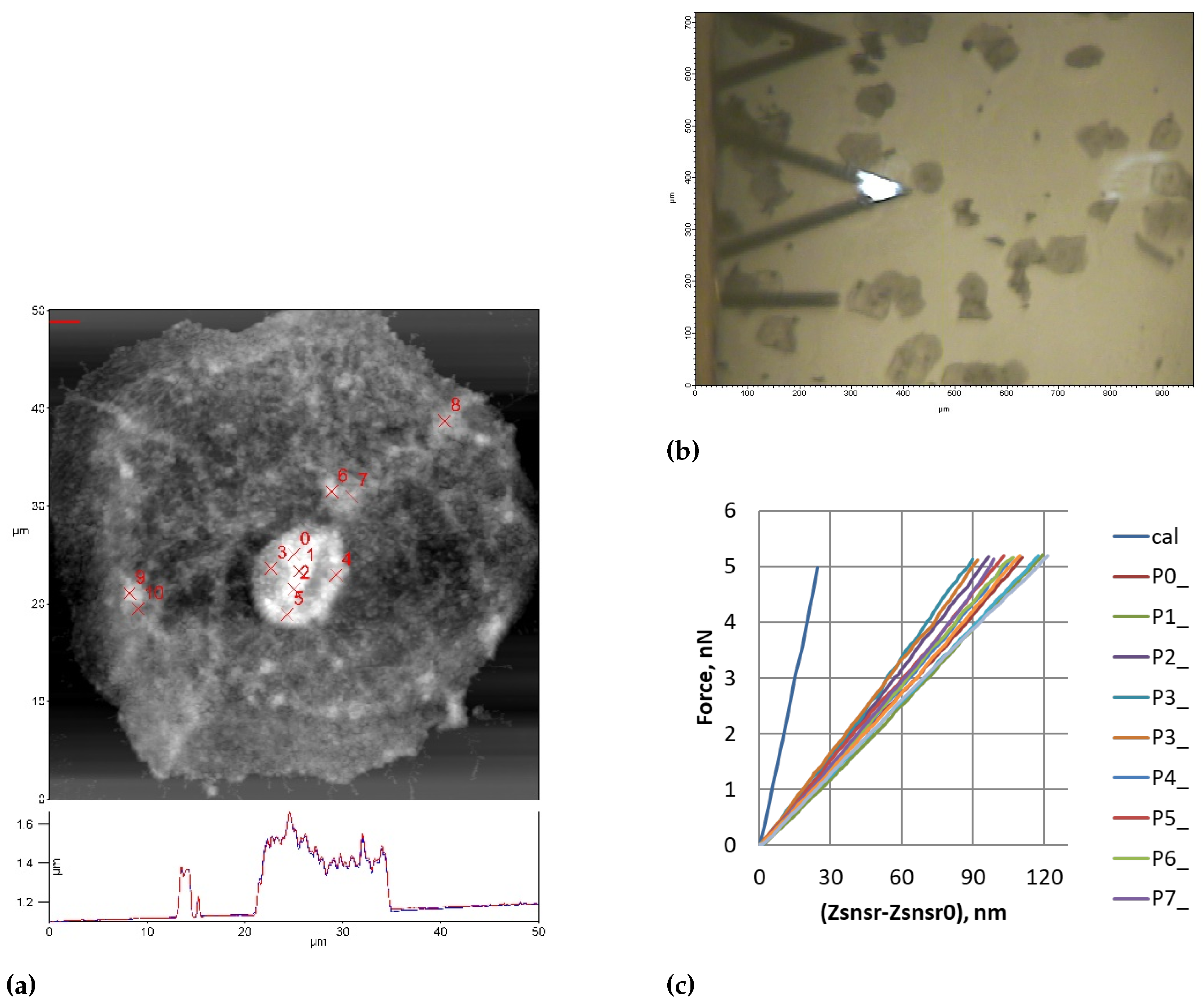 Diagnostics 15 00127 g002