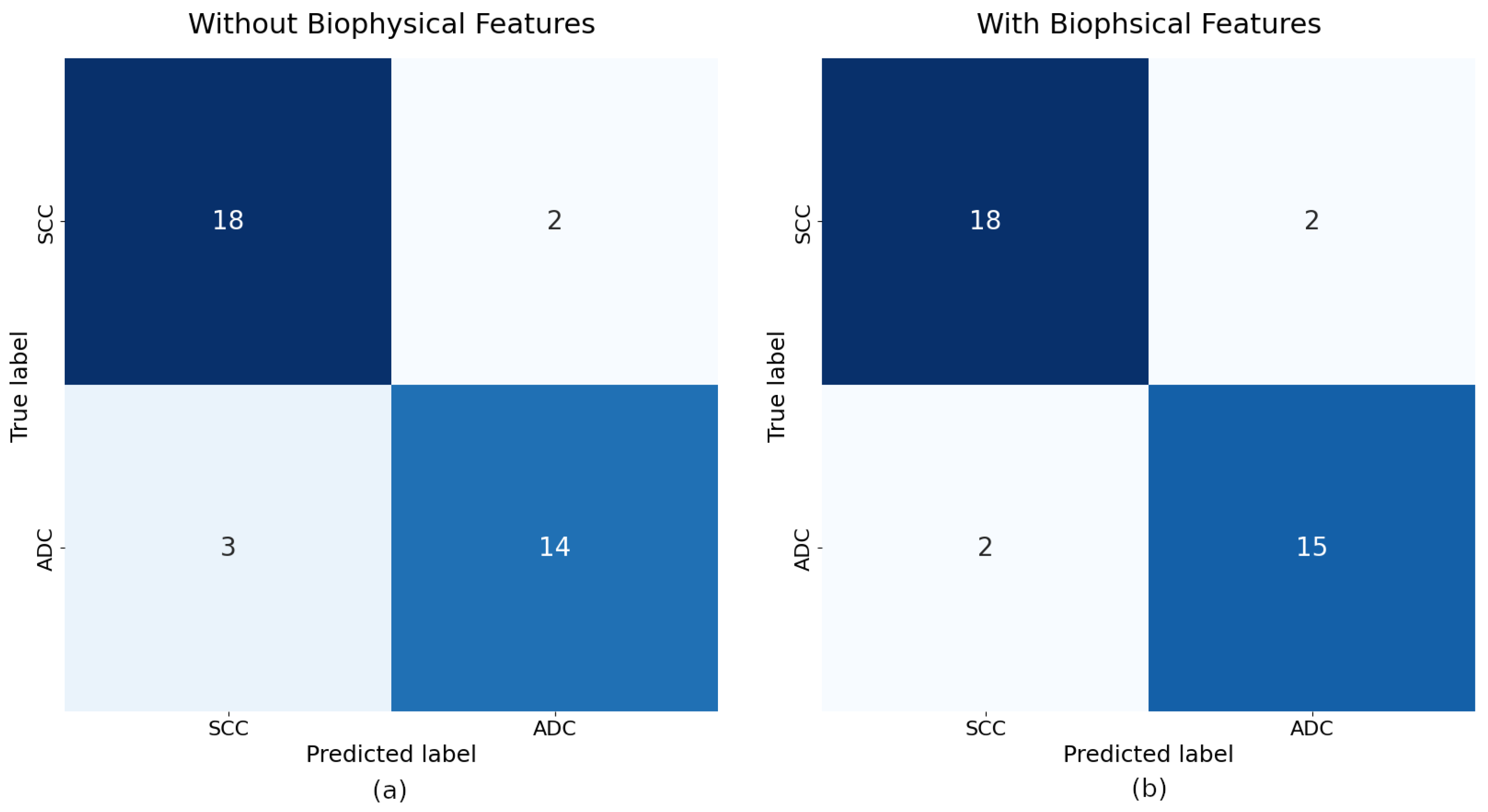 Diagnostics 15 00127 g009