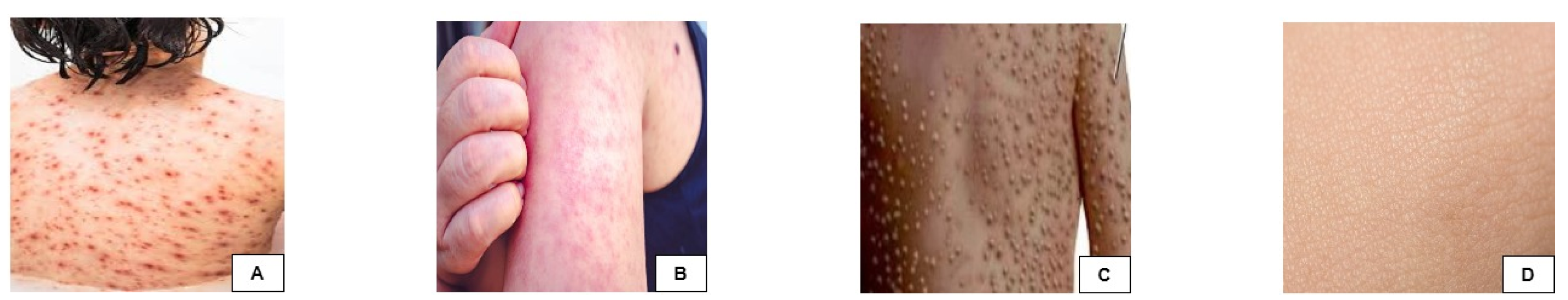 Diagnostics 15 00130 g003