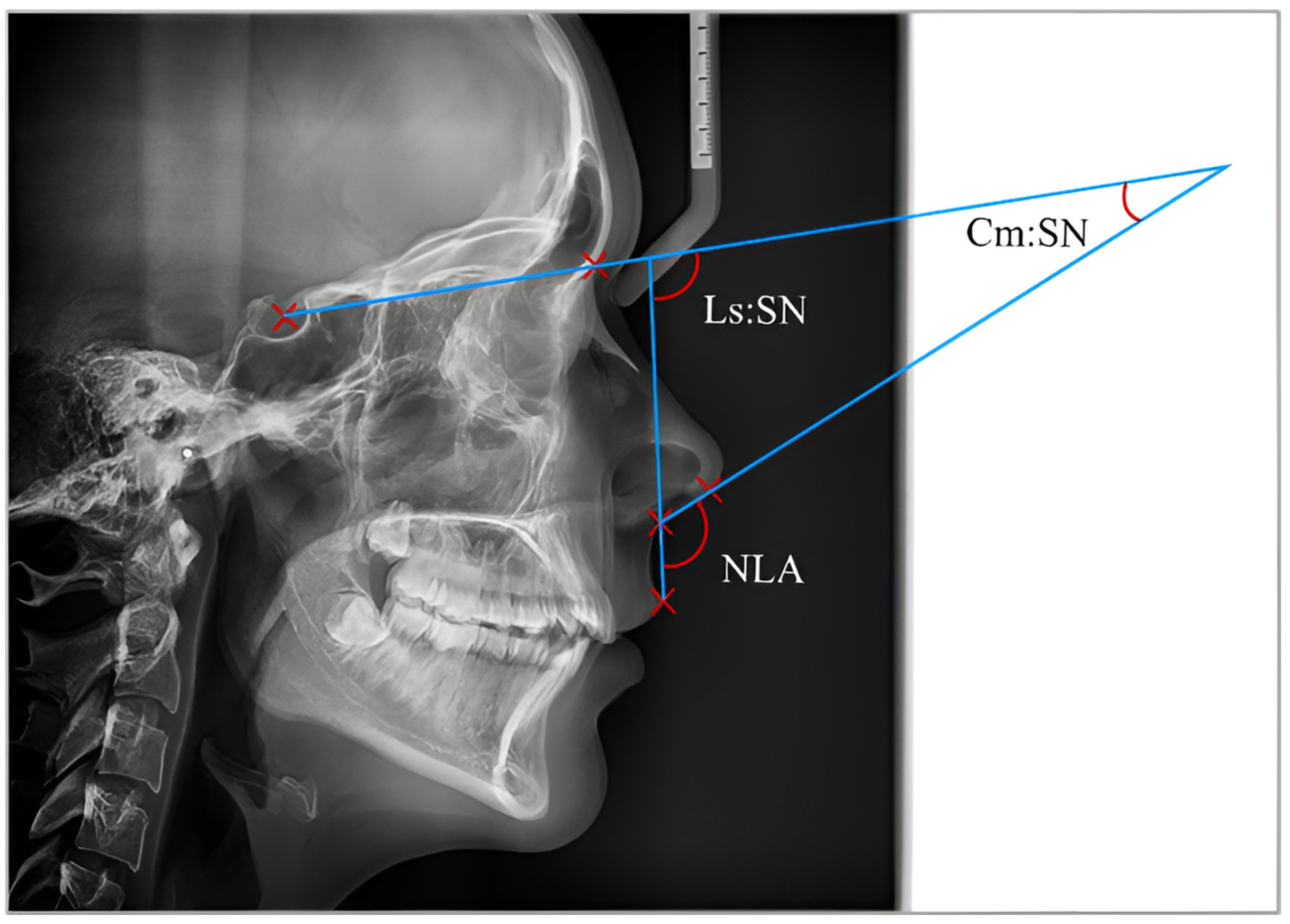 Diagnostics 15 00132 g002