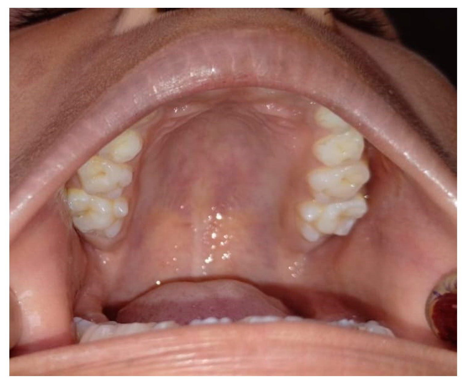 Diagnostics 15 00134 g001