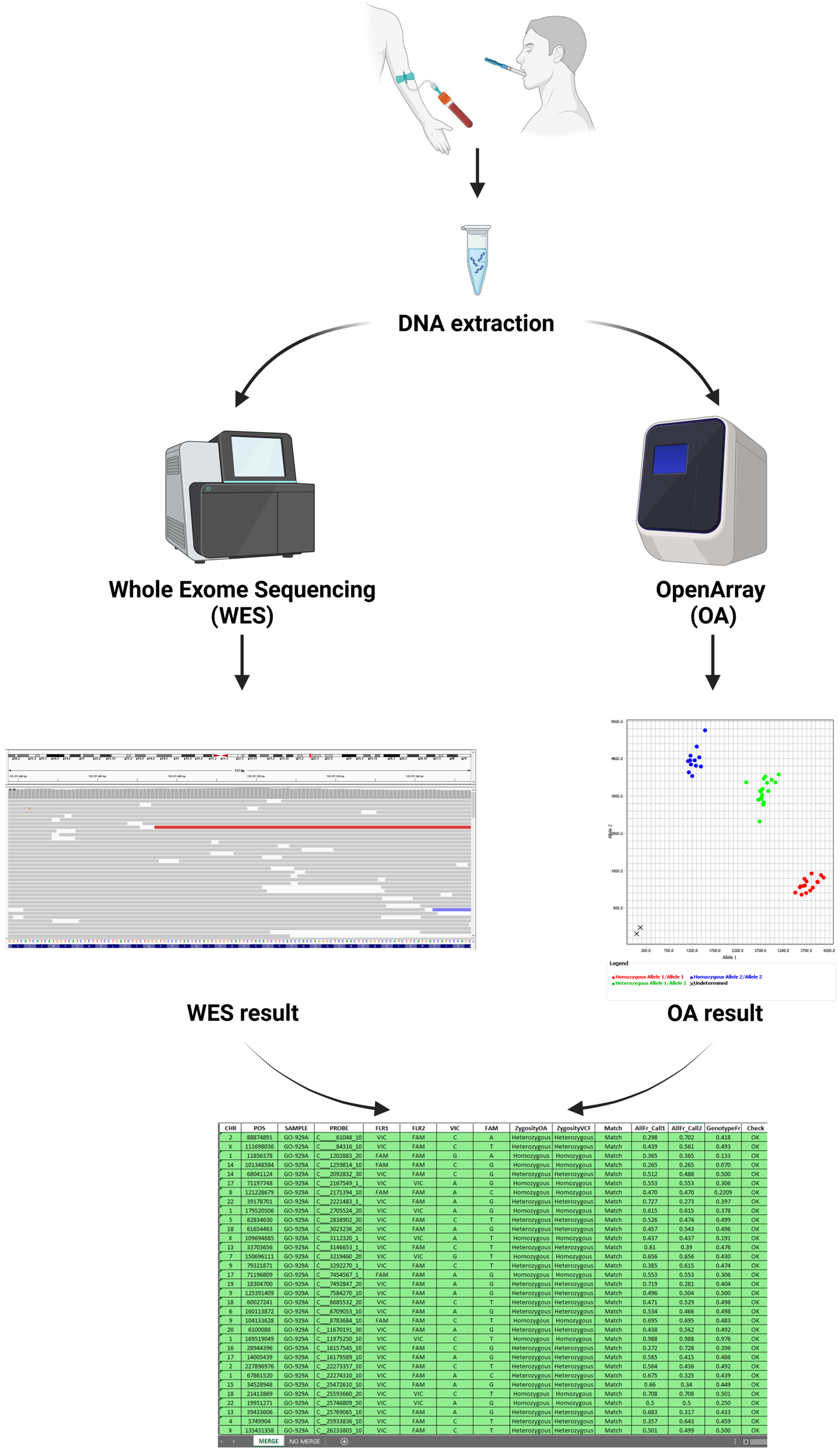 Diagnostics 15 00149 g005