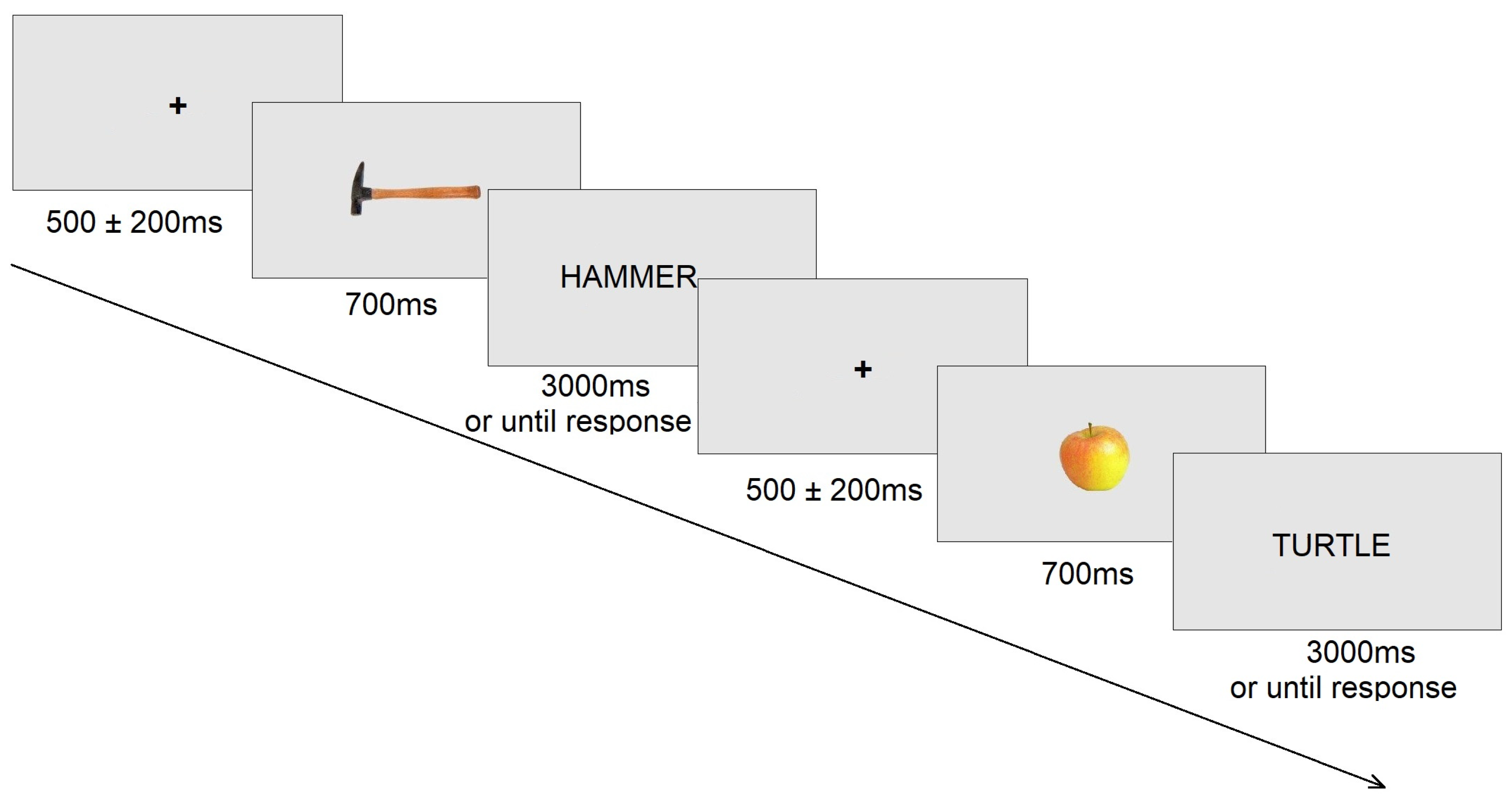 Diagnostics 15 00156 g001 Diagnostics 15 00156 g001