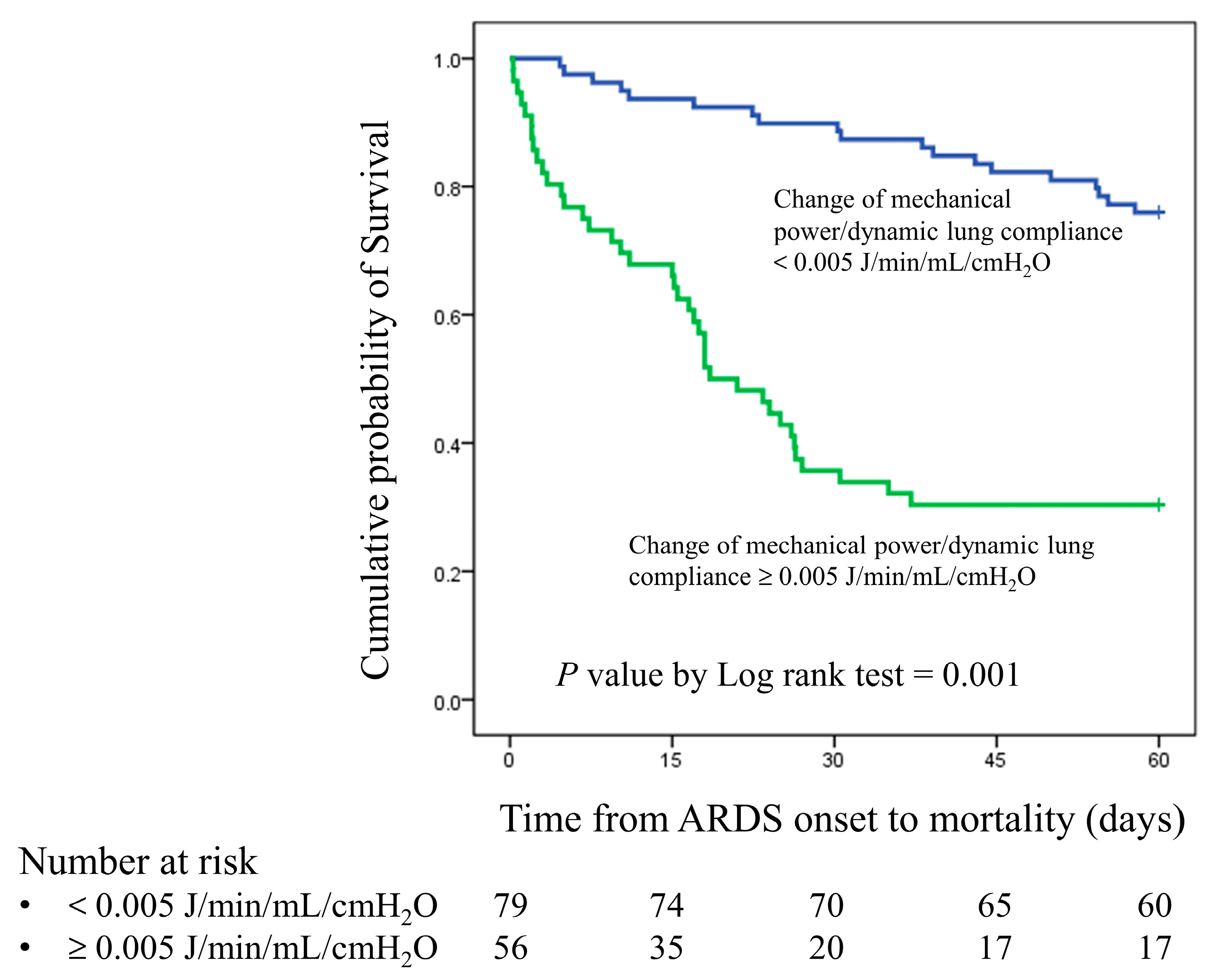 Diagnostics 15 00158 g003