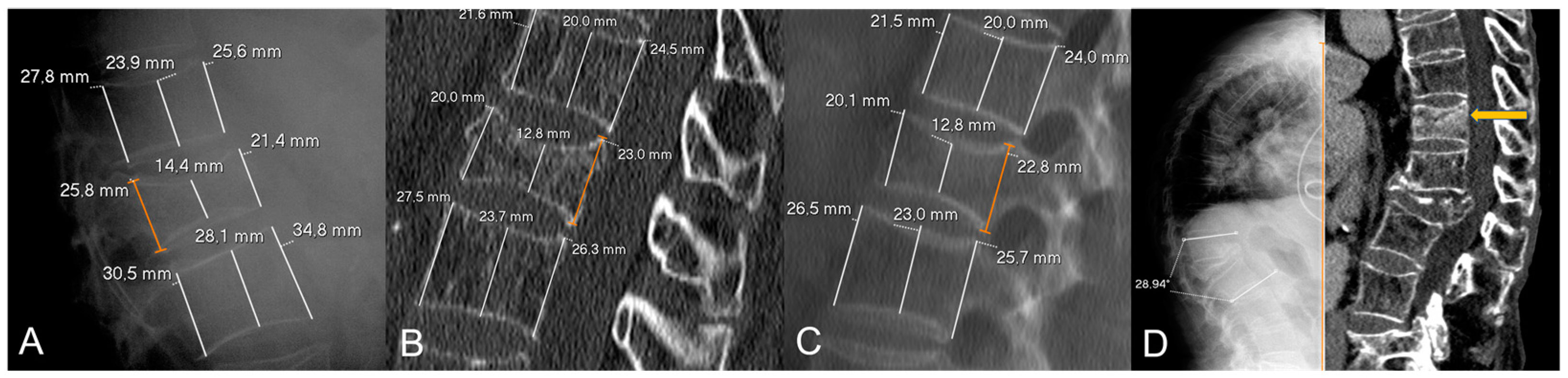 Diagnostics 15 00160 g005