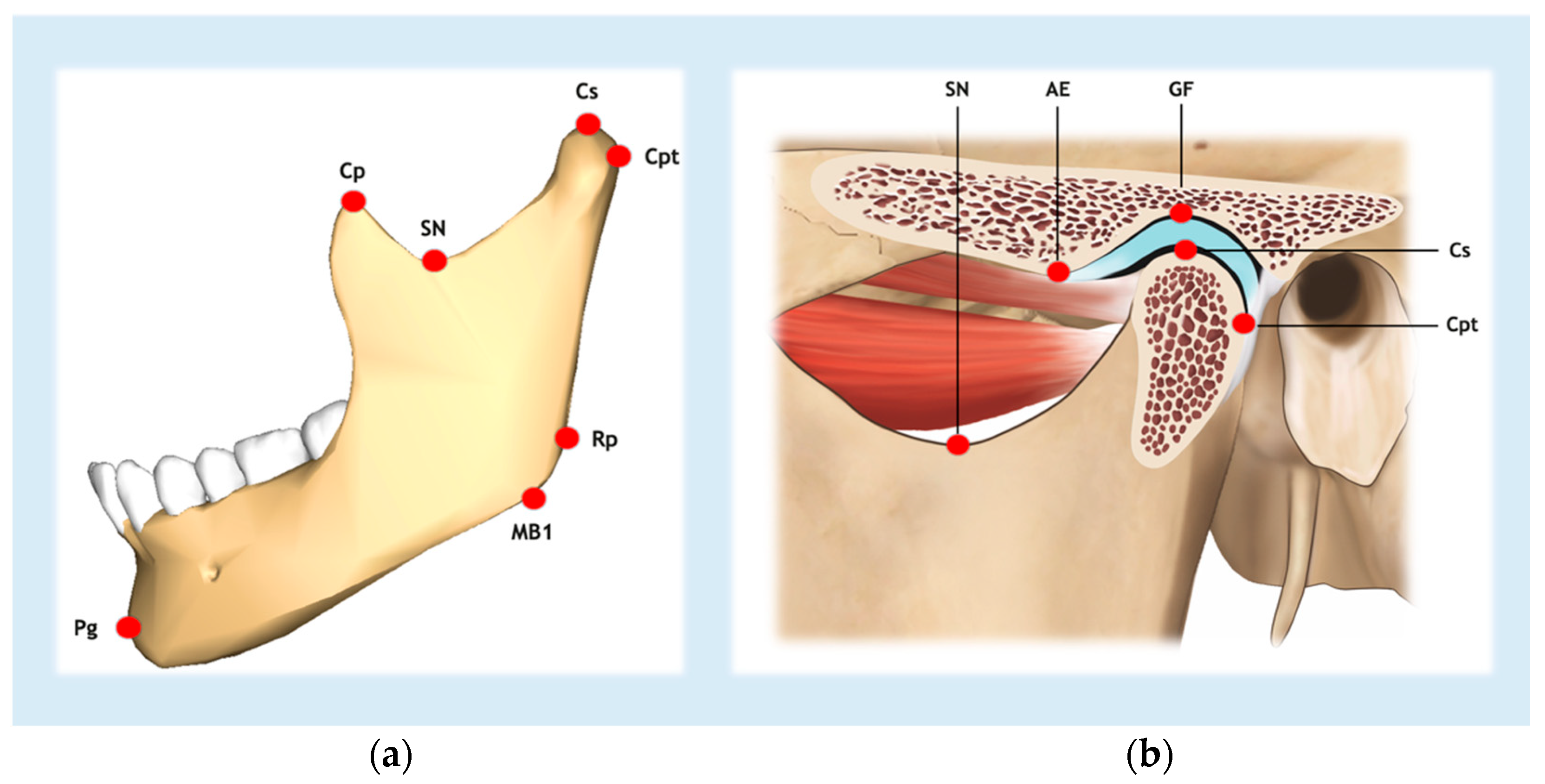 Diagnostics 15 00161 g002
