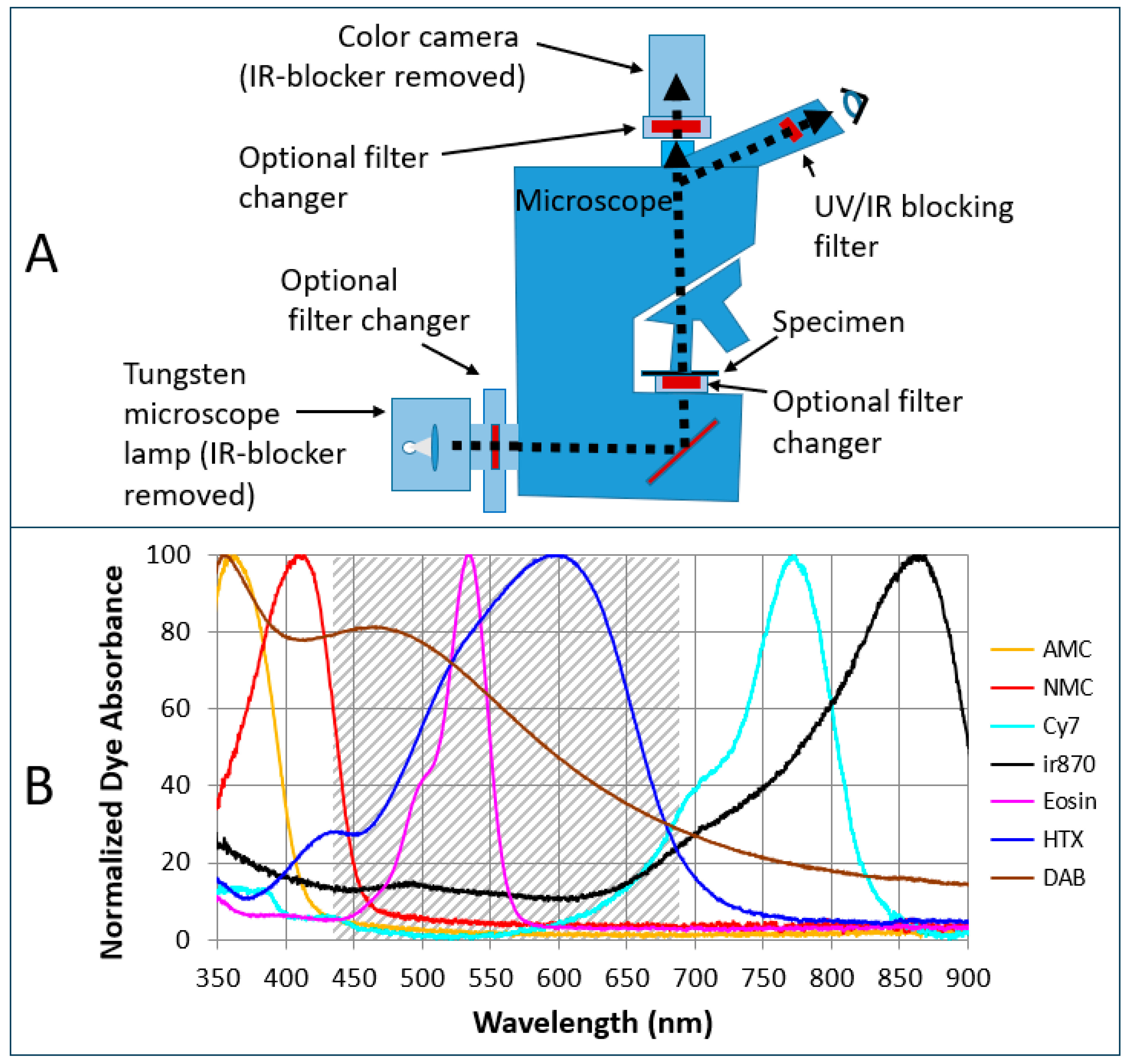 Diagnostics 15 00164 g001