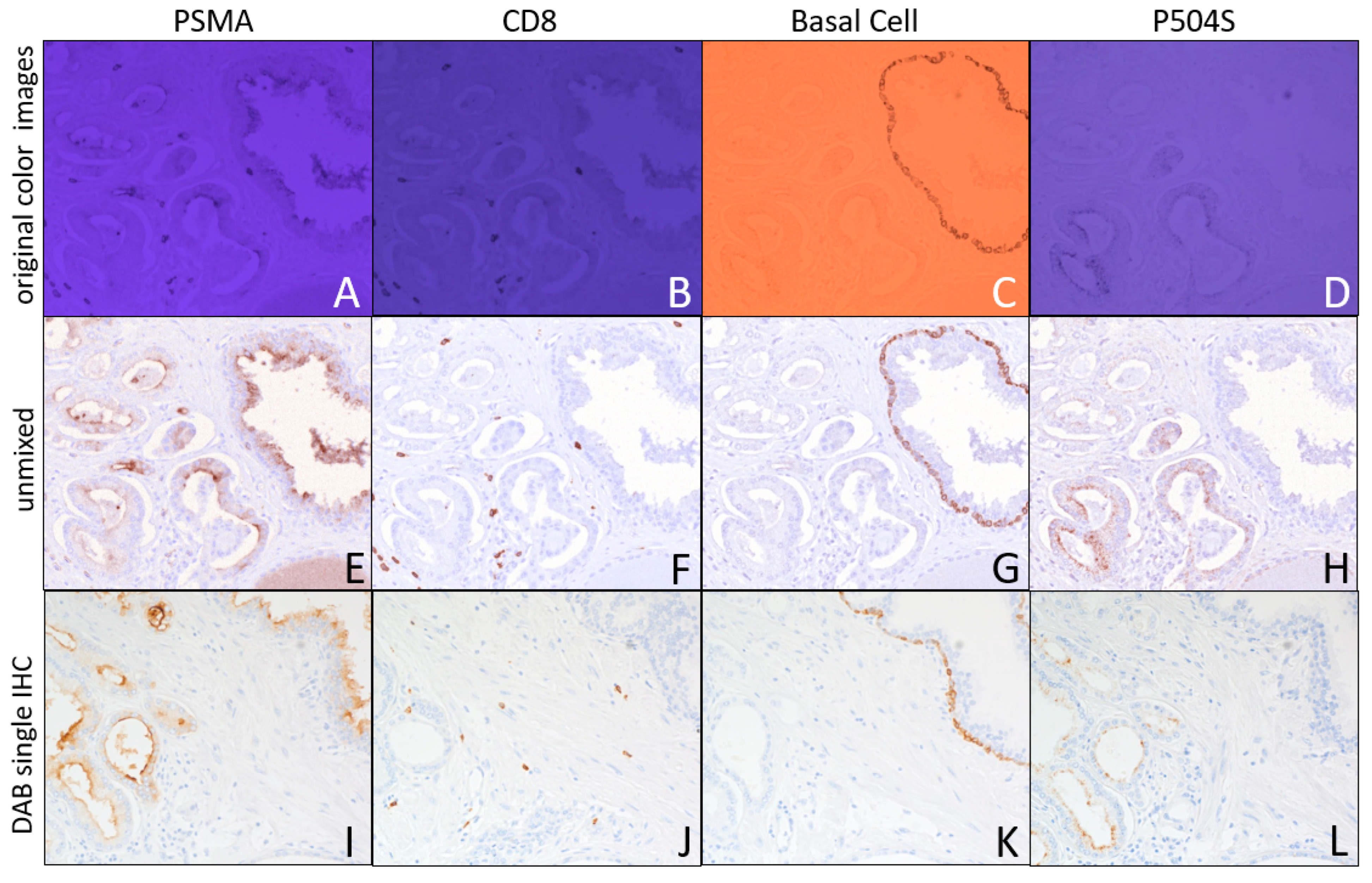 Diagnostics 15 00164 g005