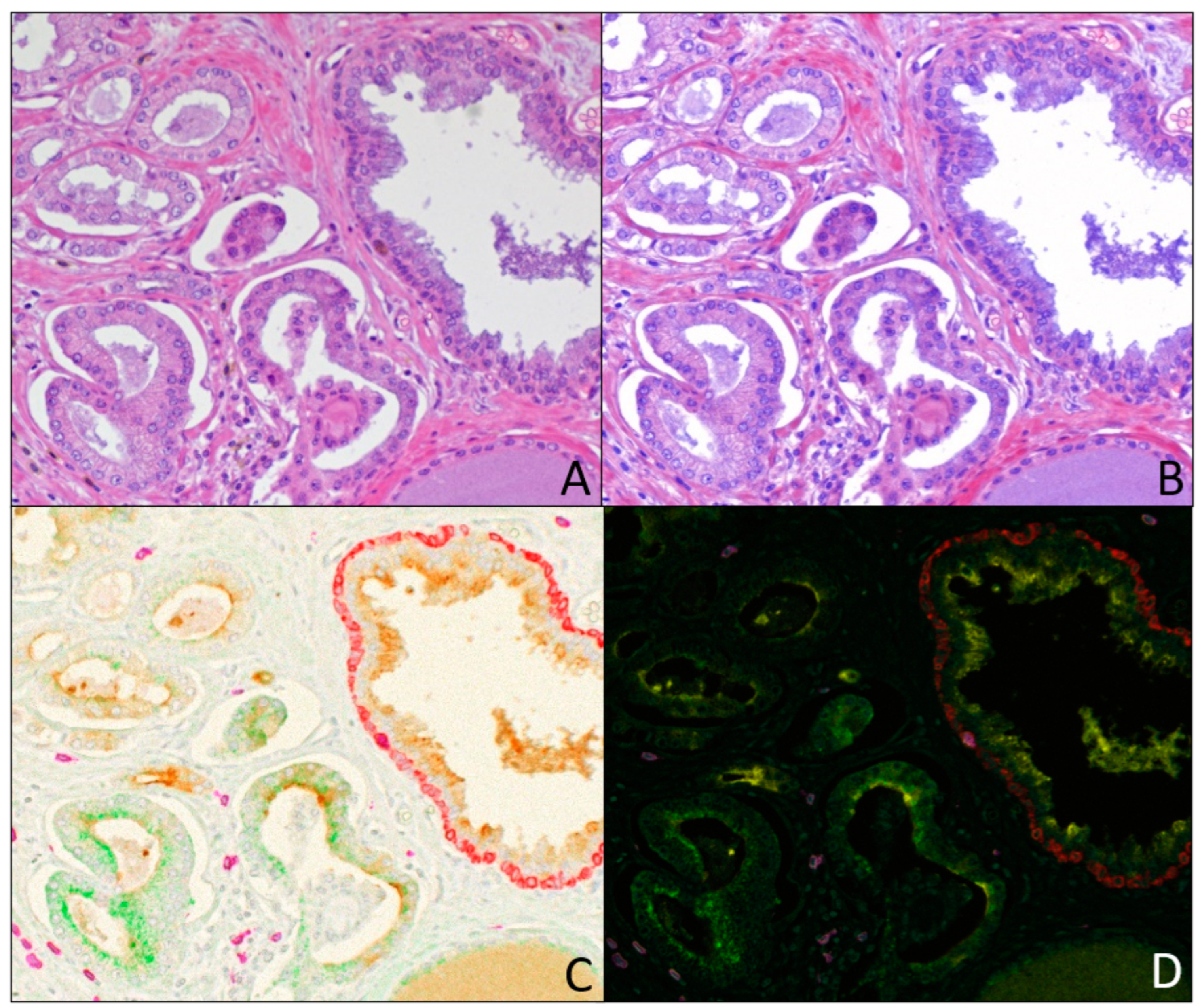 Diagnostics 15 00164 g006