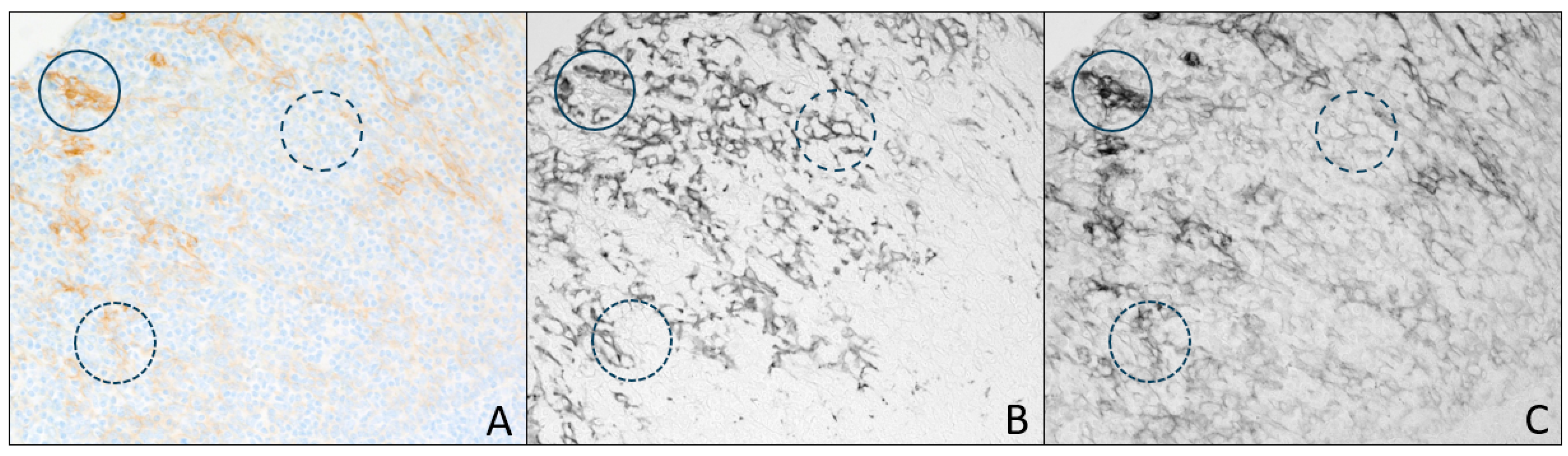 Diagnostics 15 00164 g007