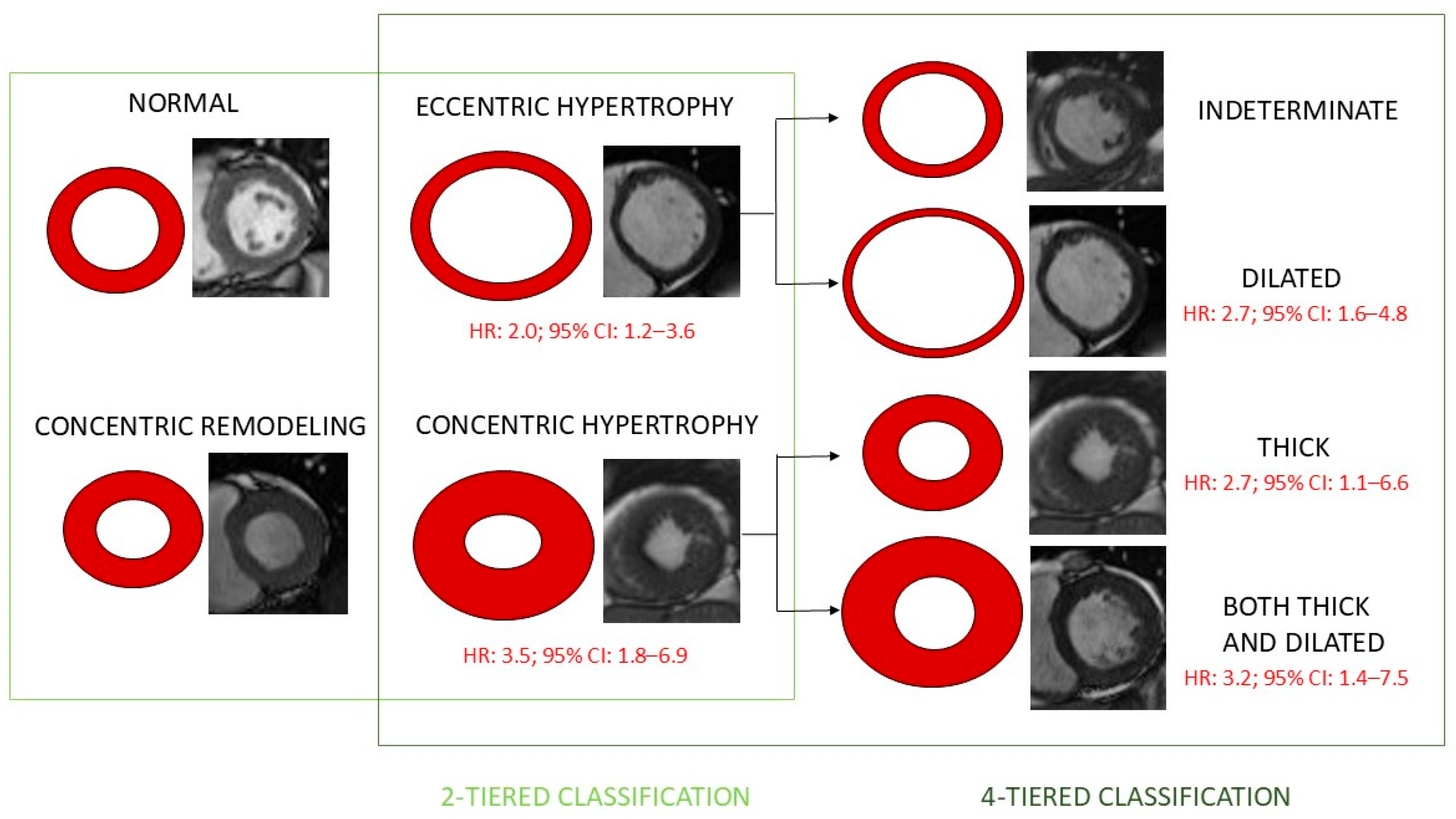 Diagnostics 15 00178 g001