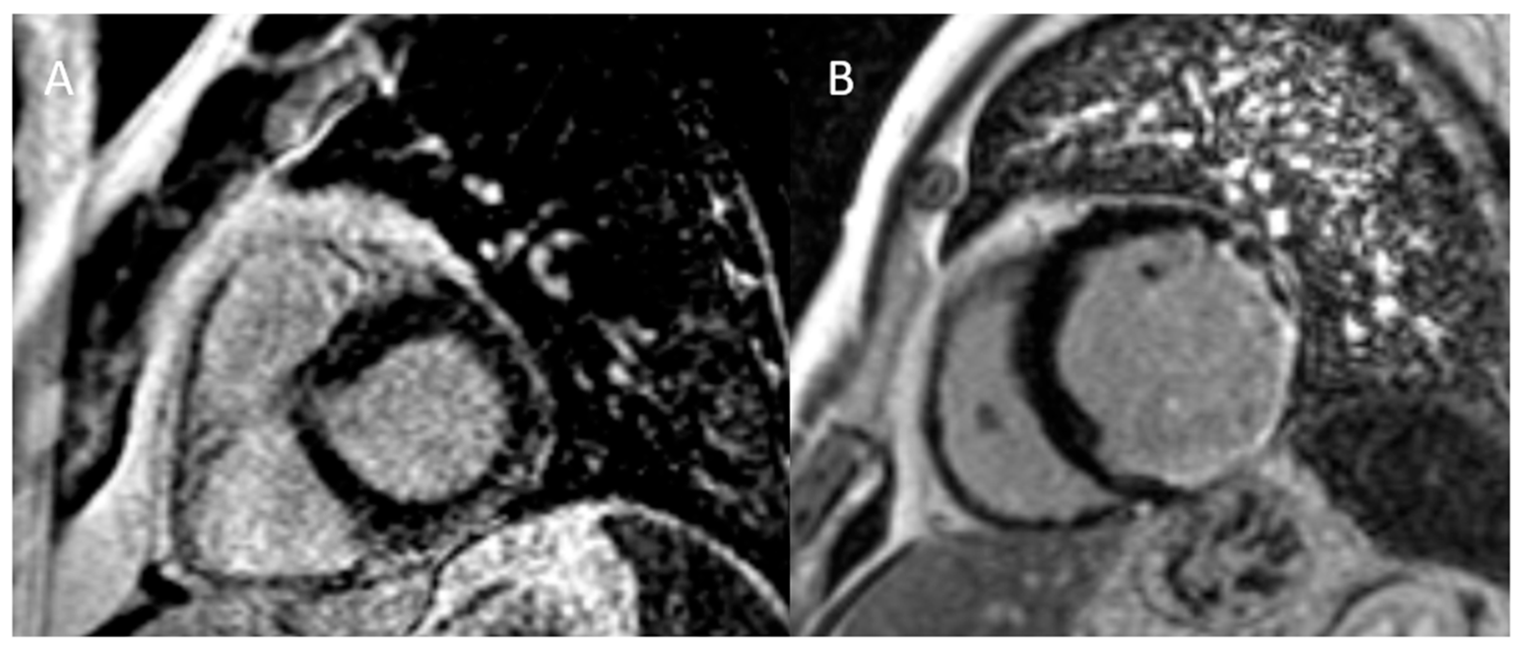 Diagnostics 15 00178 g003