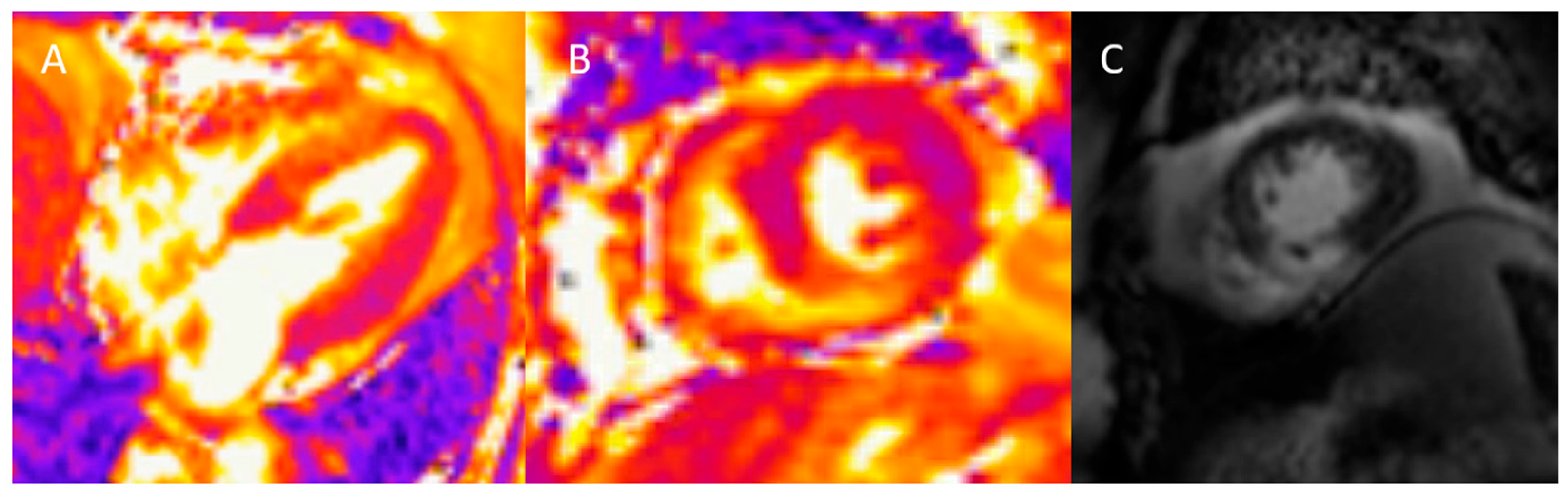 Diagnostics 15 00178 g005