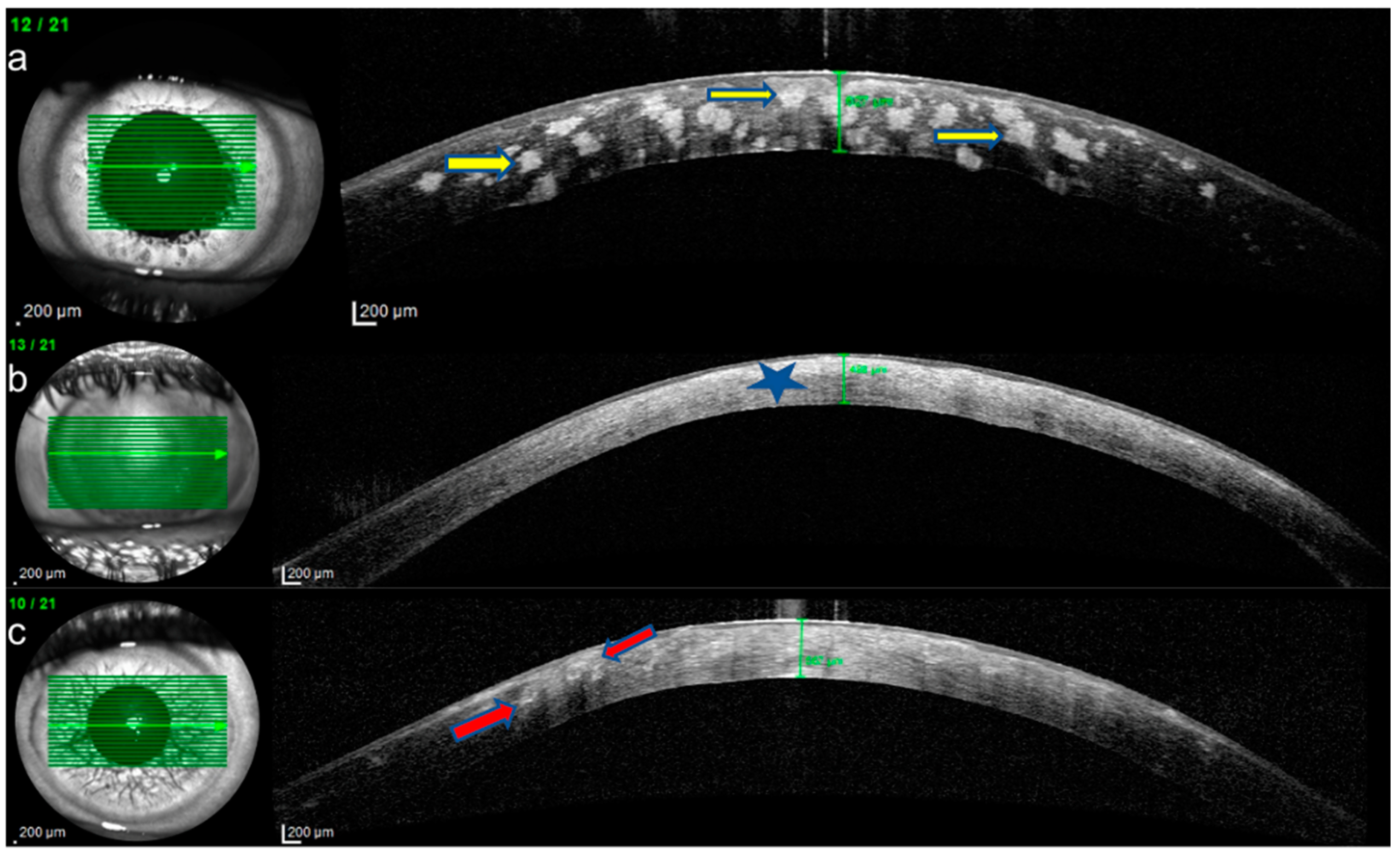 Diagnostics 15 00182 g004