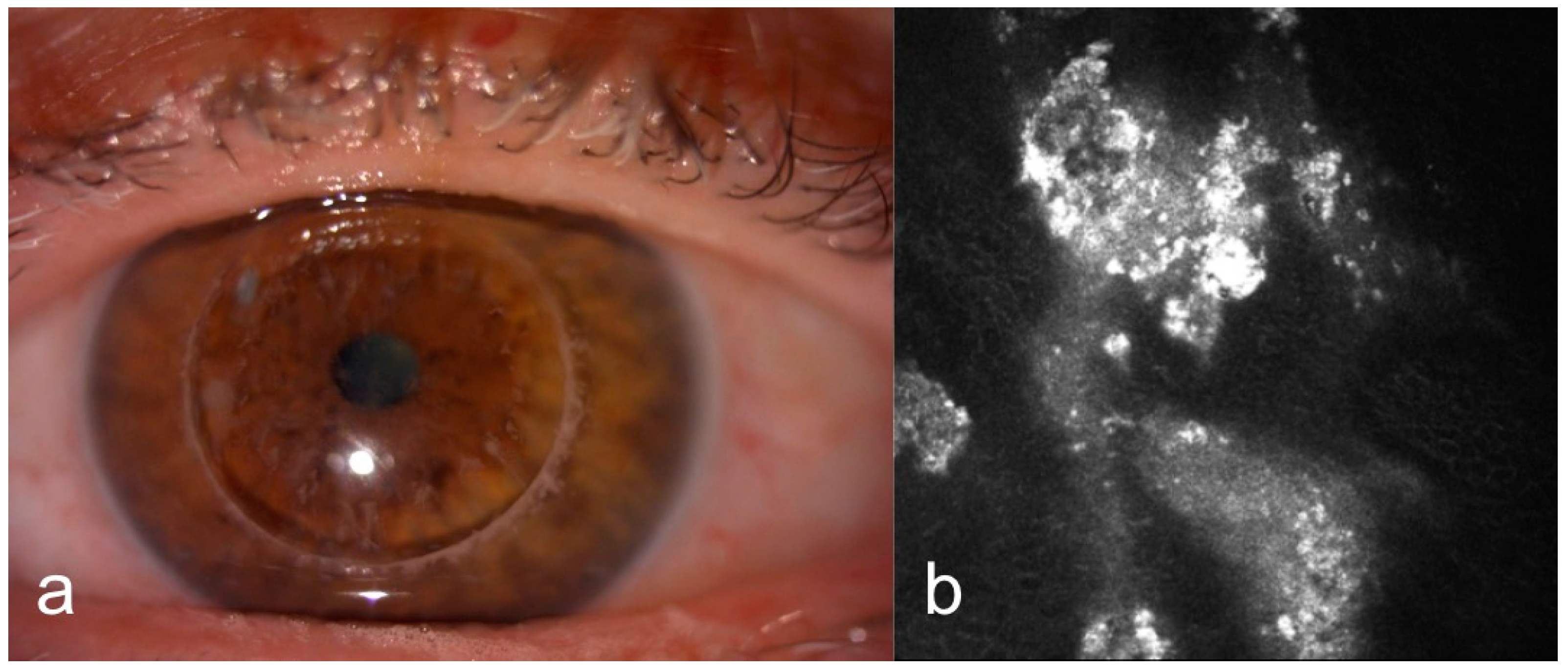 Diagnostics 15 00182 g006