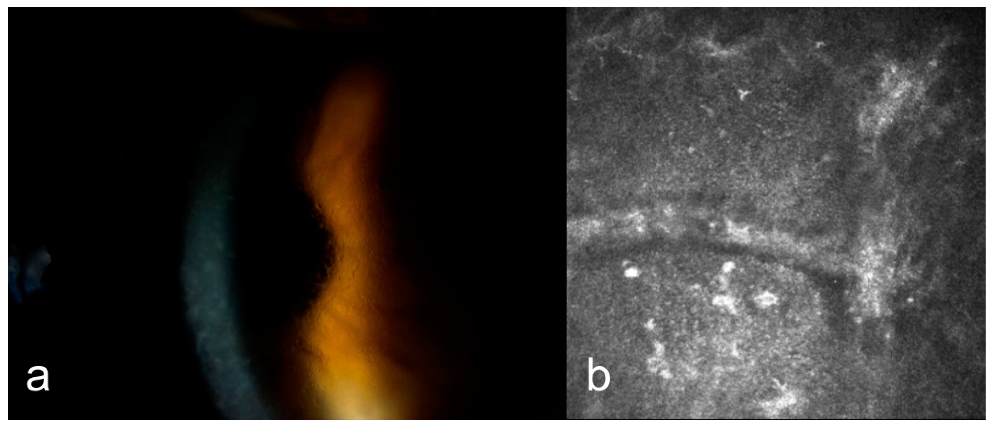 Diagnostics 15 00182 g007