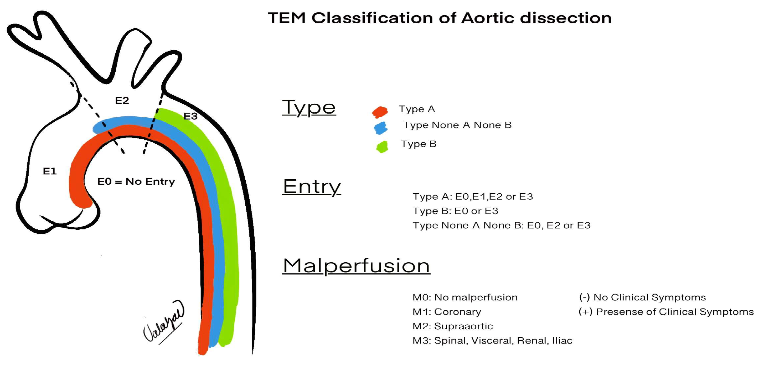 Diagnostics 15 00183 g004
