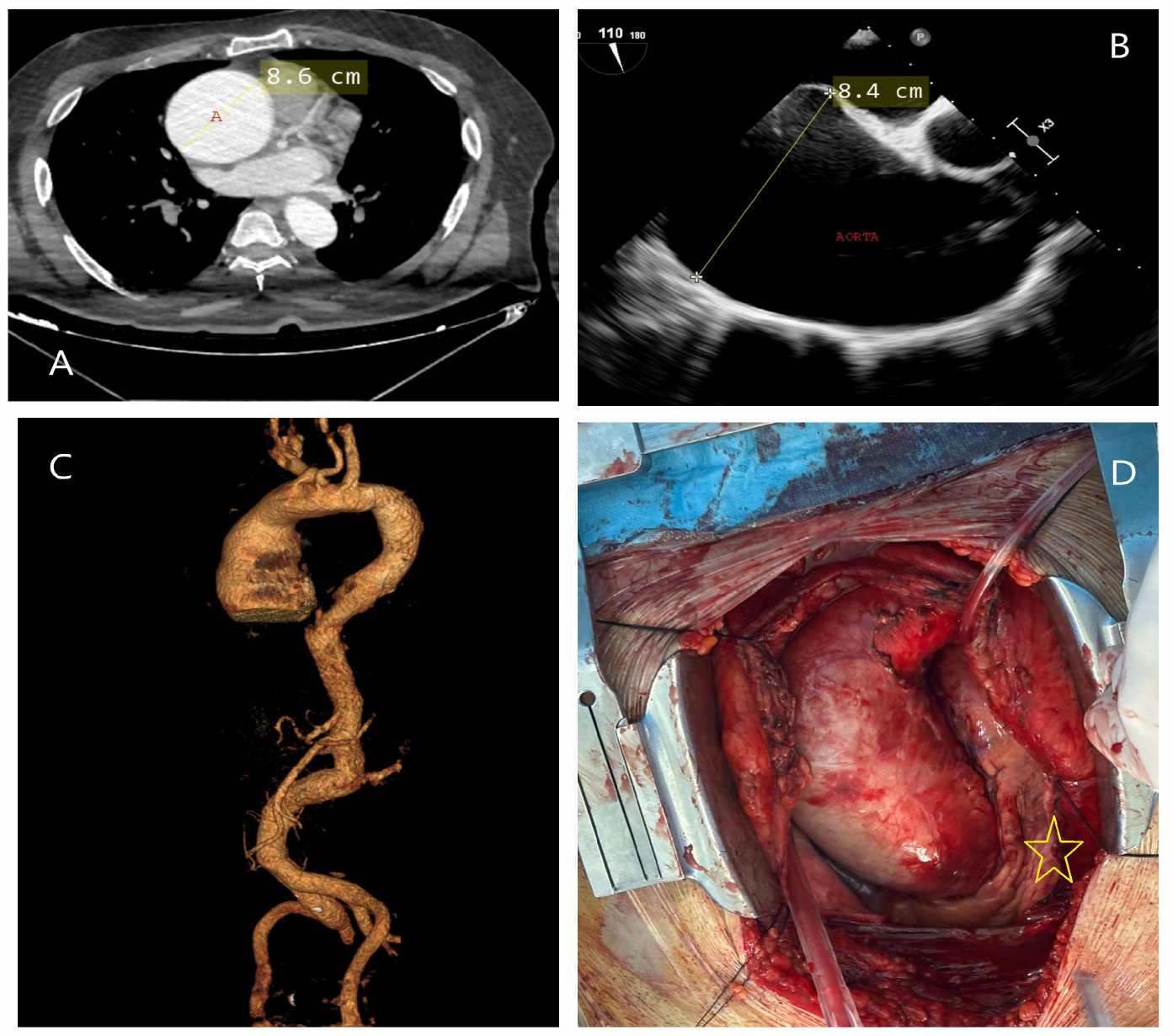 Diagnostics 15 00183 g008