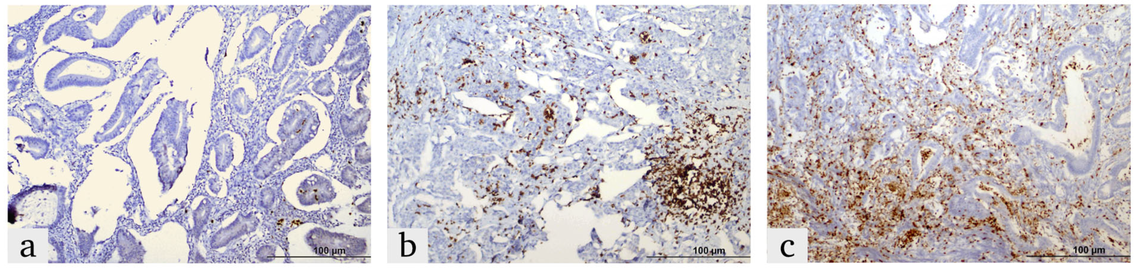 Diagnostics 15 00184 g001