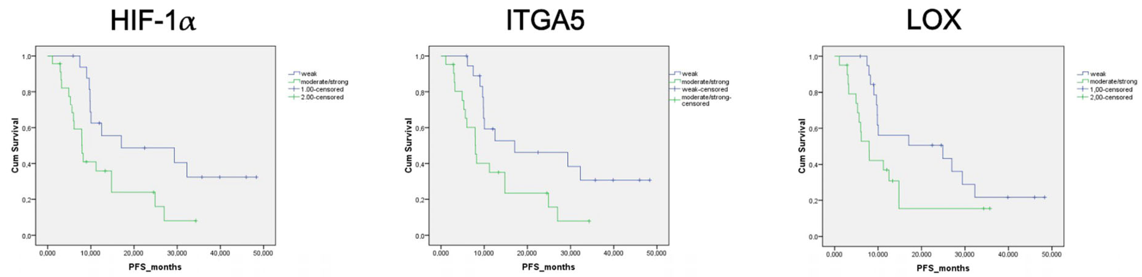 Diagnostics 15 00184 g004