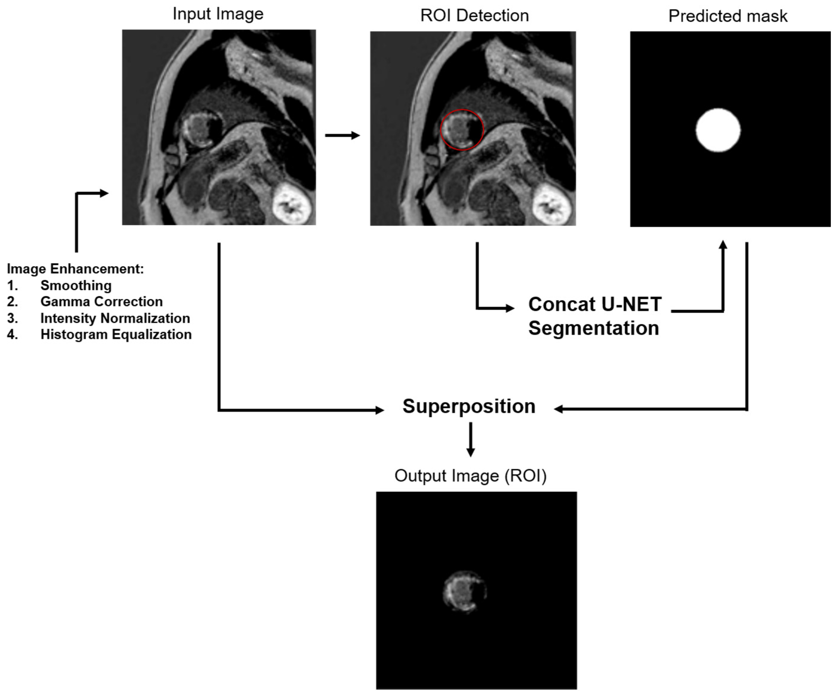 Diagnostics 15 00207 g001